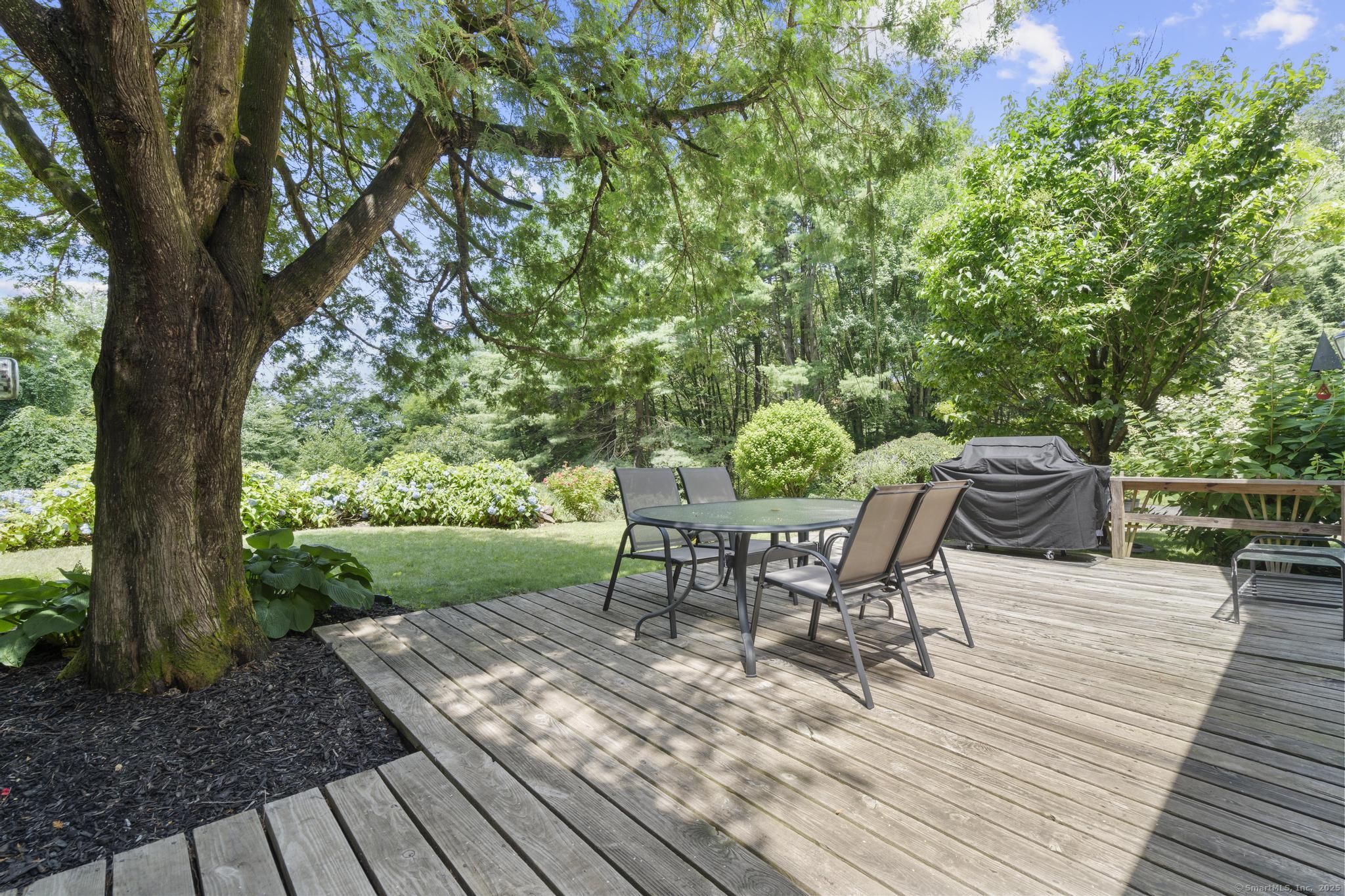 241 Avon Mountain Road