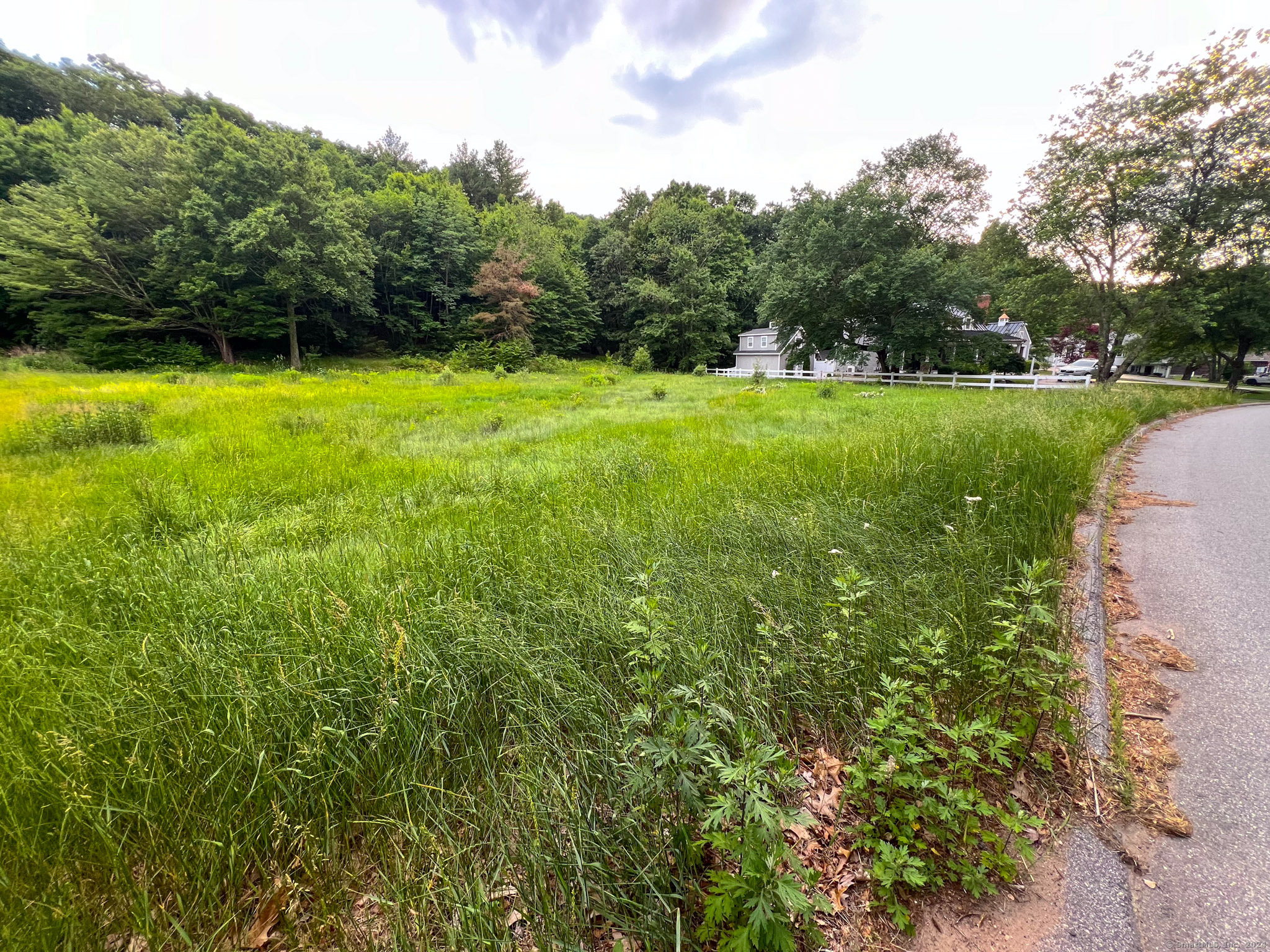 390 Ash Swamp Road