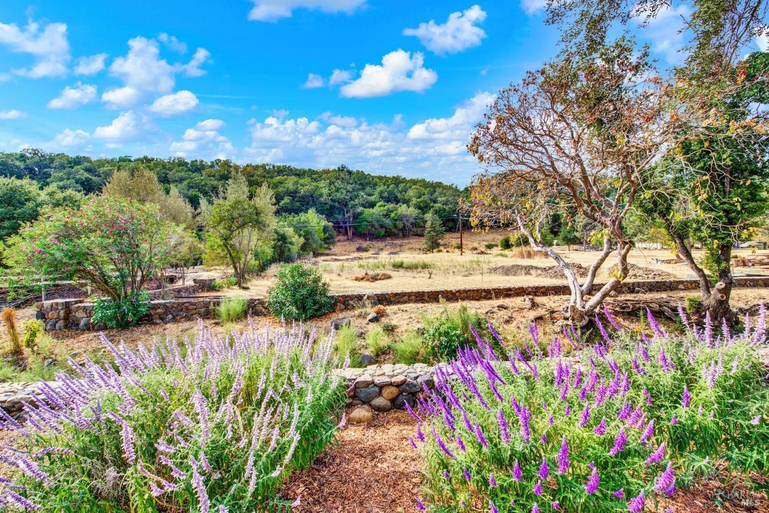 4605 Green Valley Rd