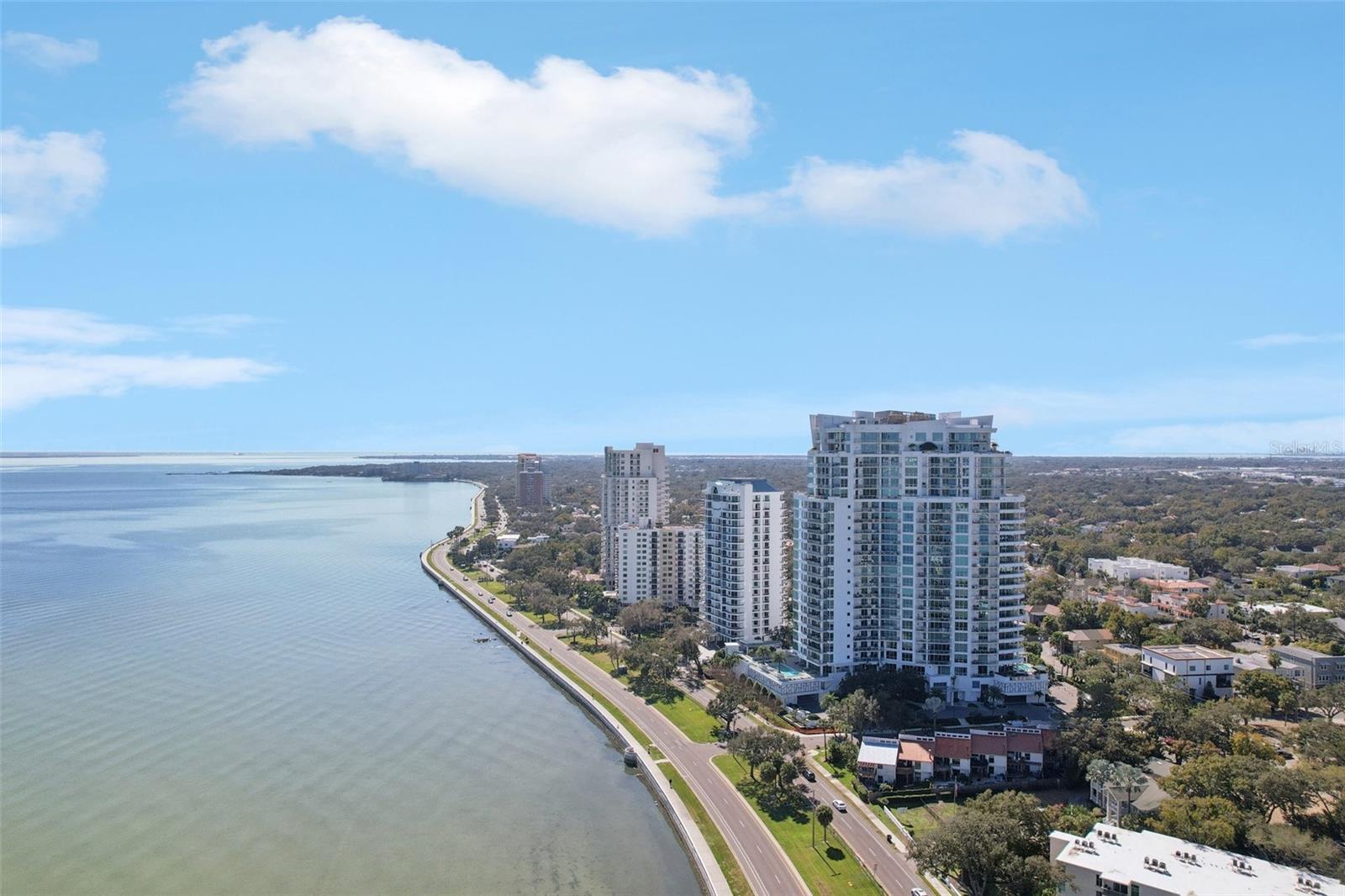 3401 BAYSHORE BLVD #1704