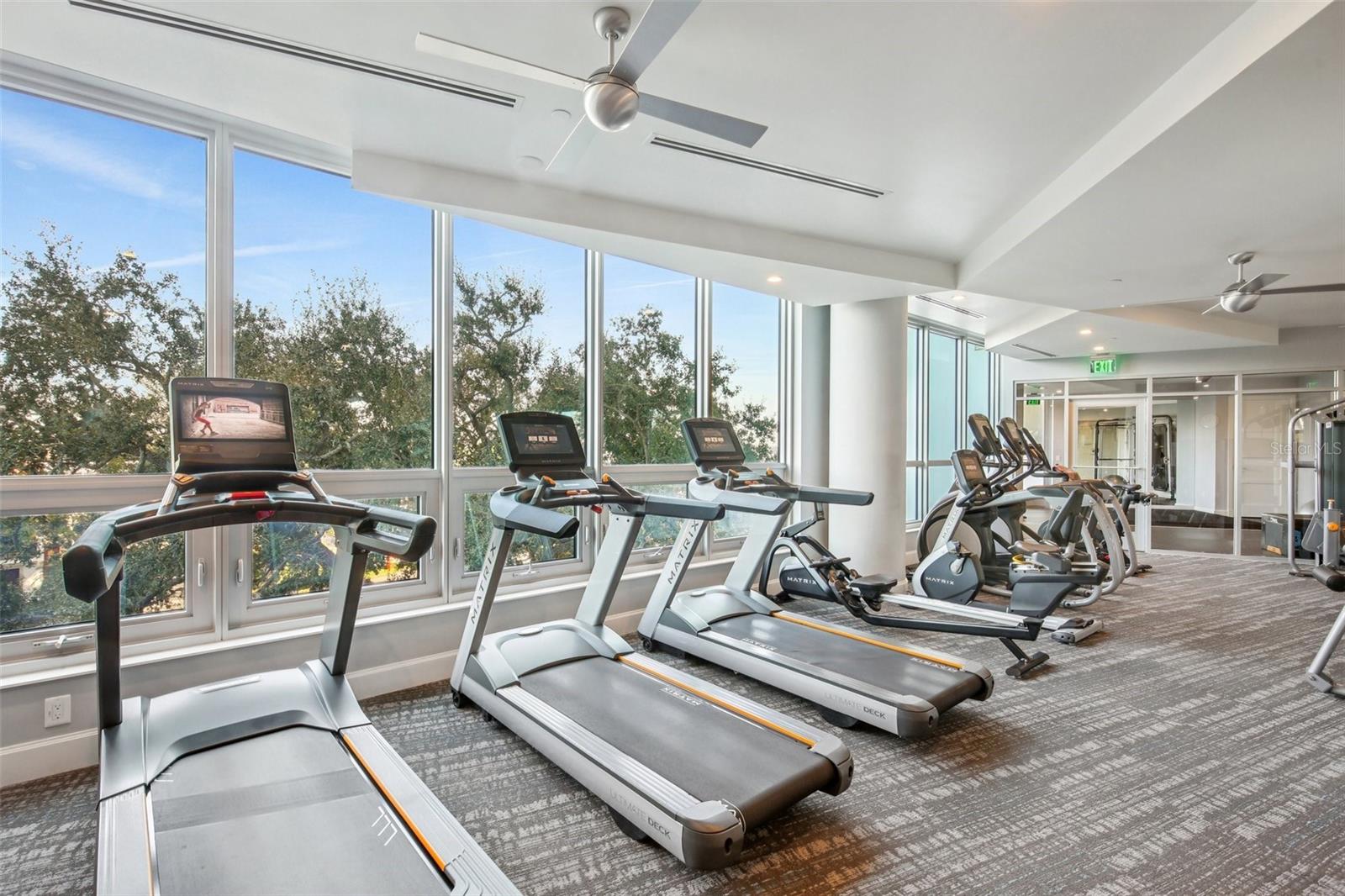 3401 BAYSHORE BLVD #1704