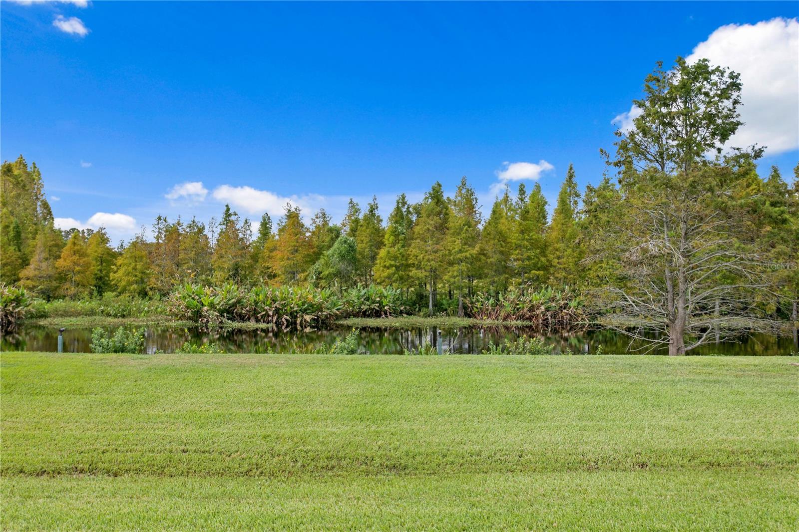 10521 BROADLAND PASS