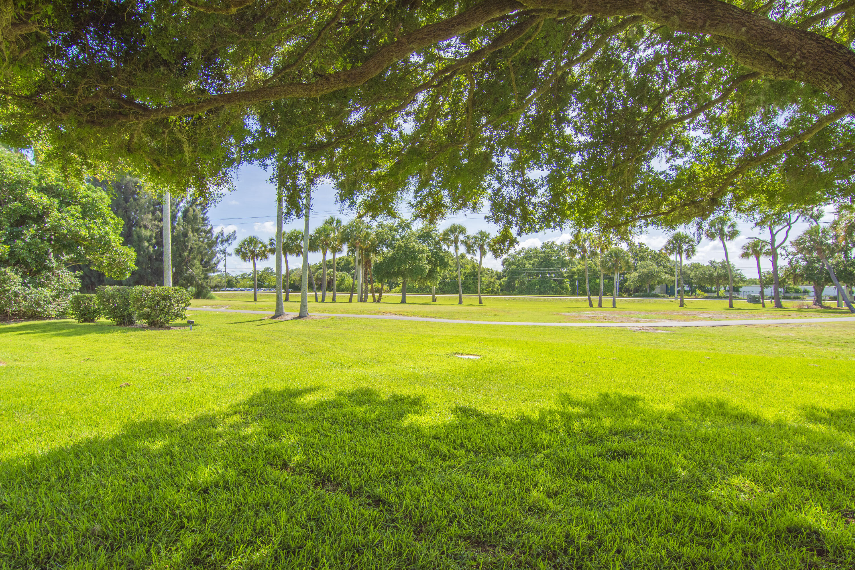 16 Vista Palm Lane 106