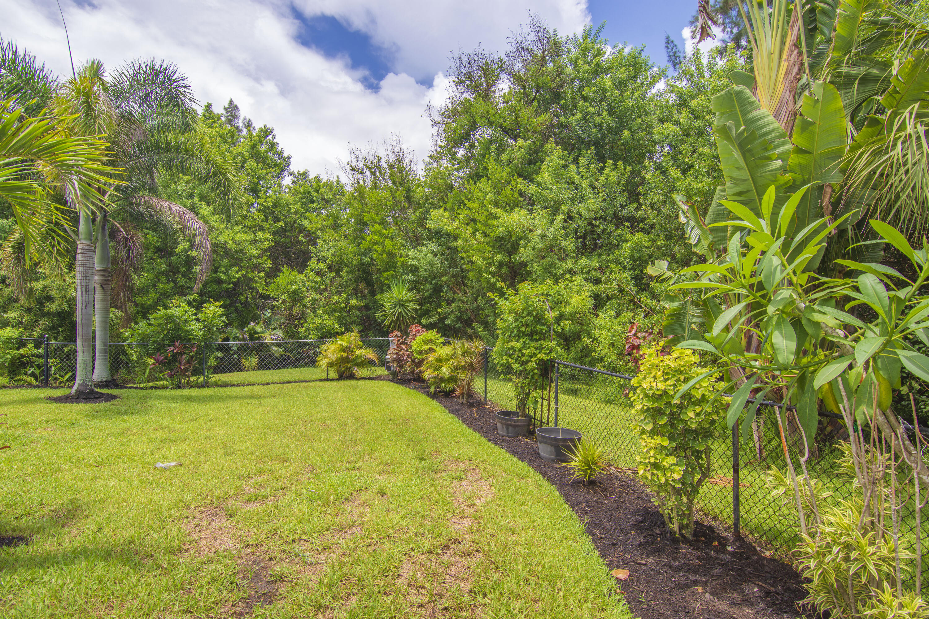 320 W FOREST Trail