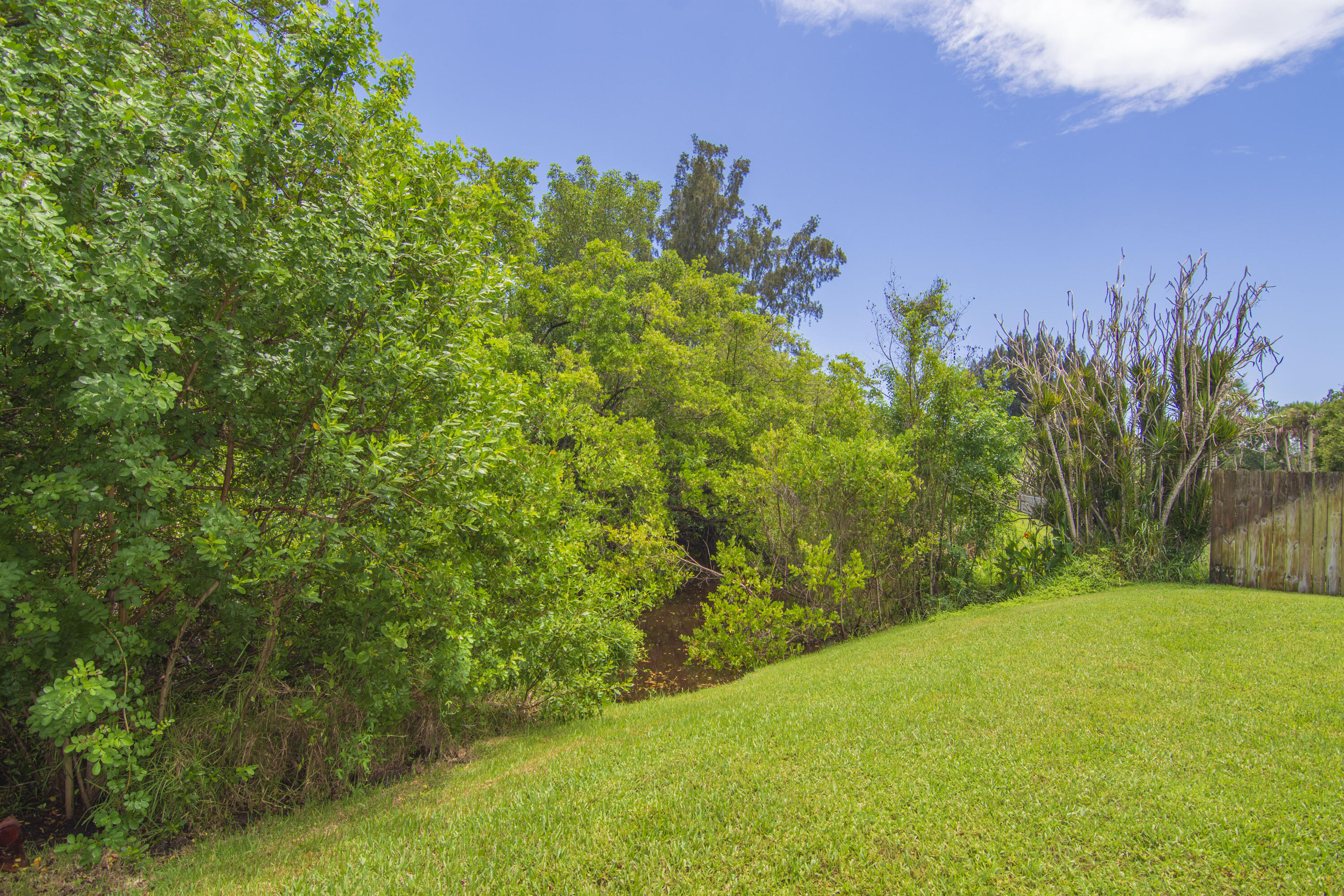 320 W FOREST Trail