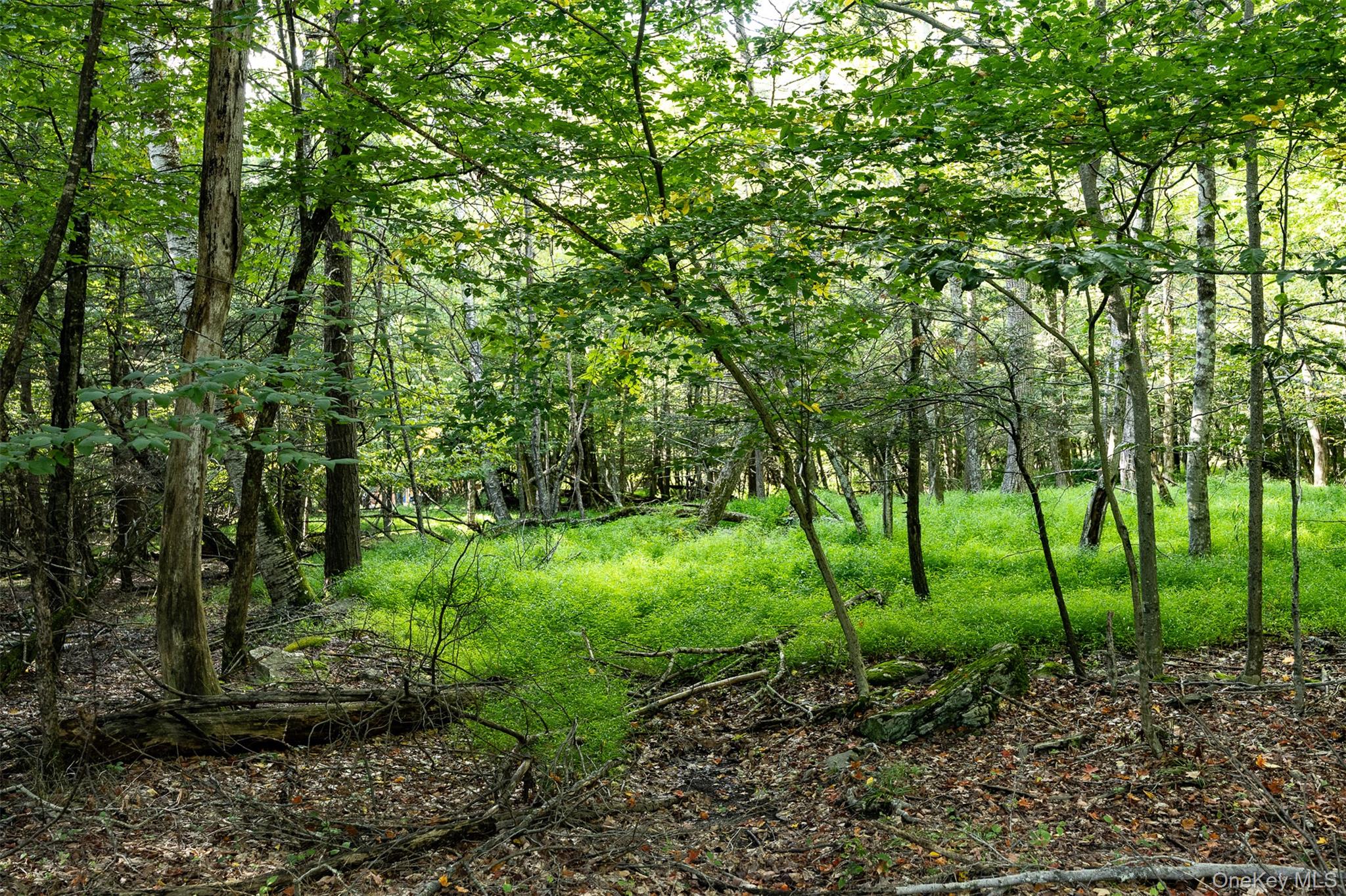 Lot 6 Mt Guardian Road