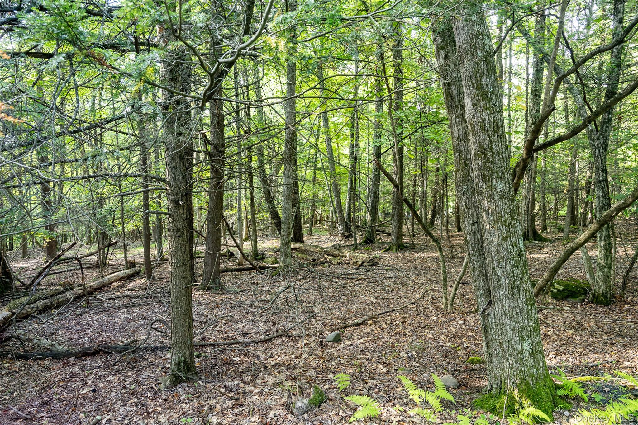 Lot 6 Mt Guardian Road