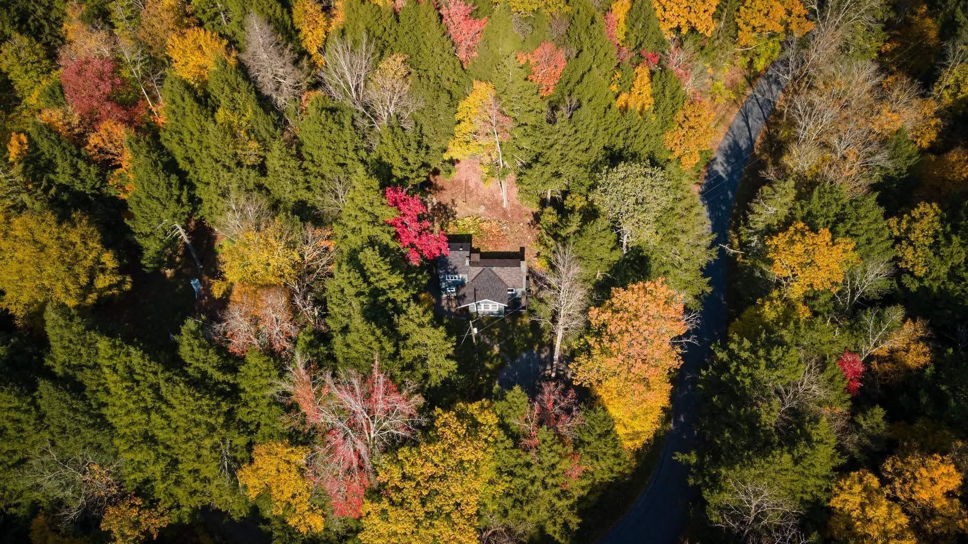 1121 Huckleberry Brook