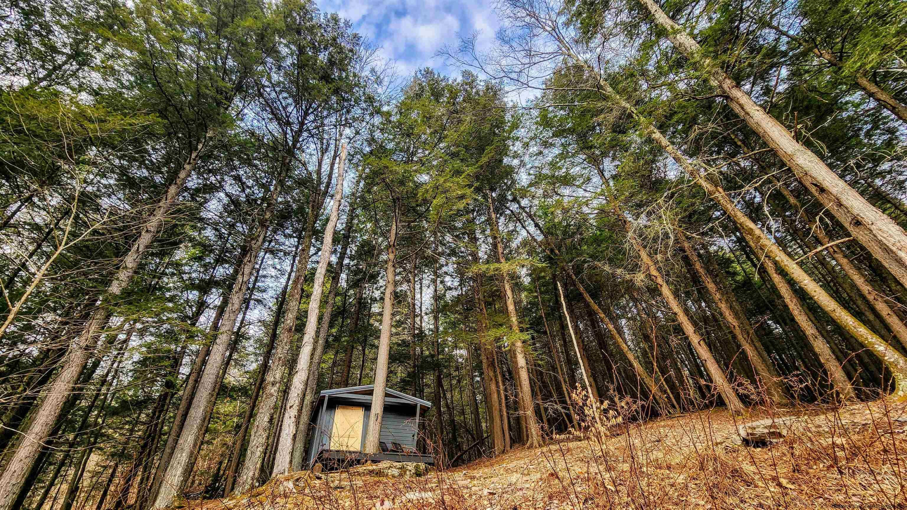 1121 Huckleberry Brook