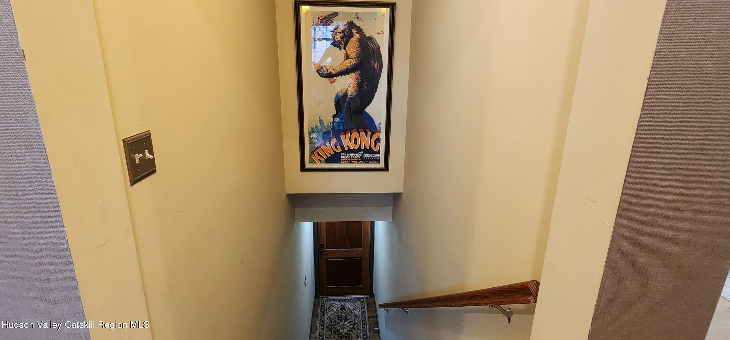 100 Greymouse Road Road