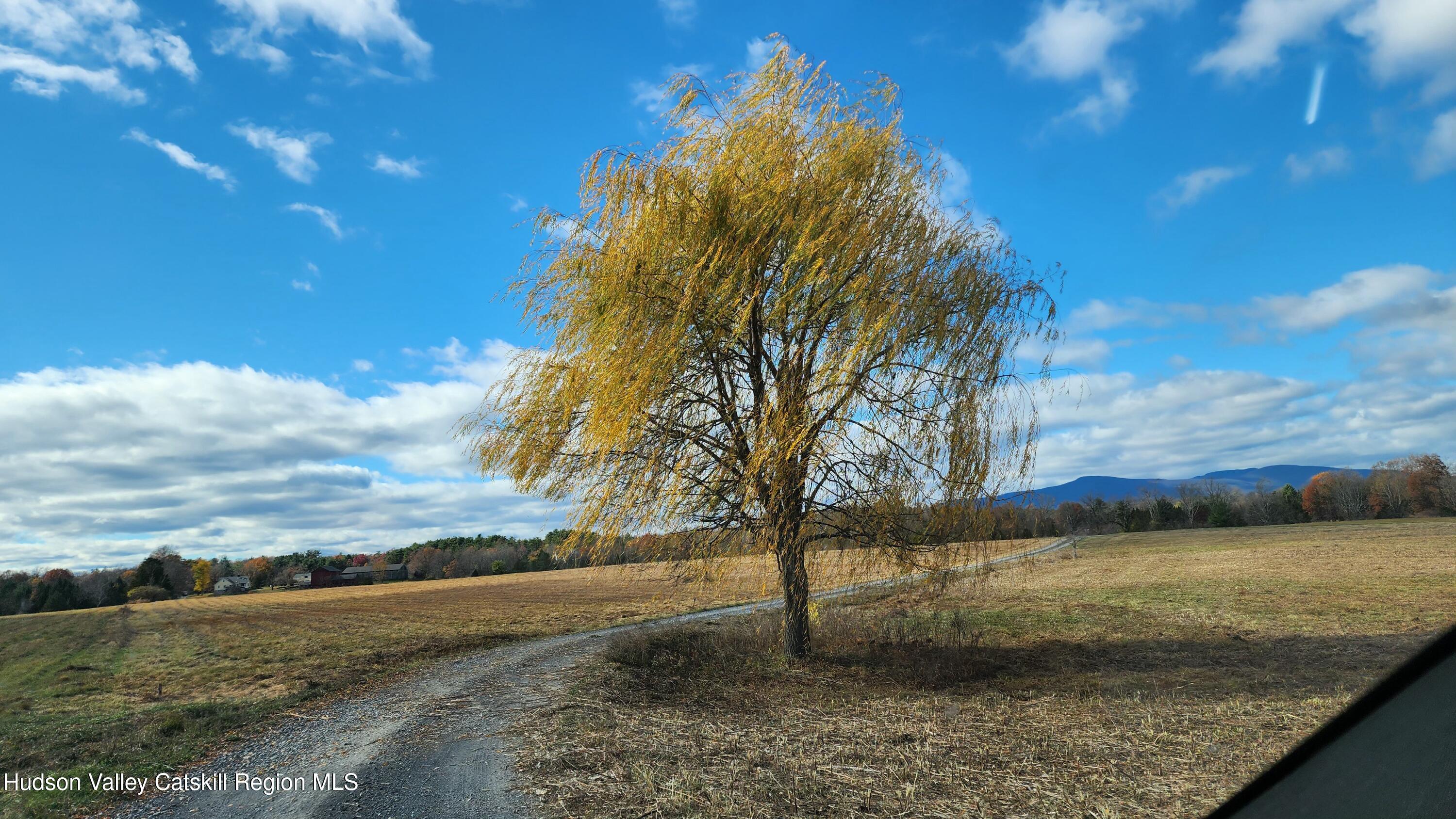 100 Greymouse Road Road