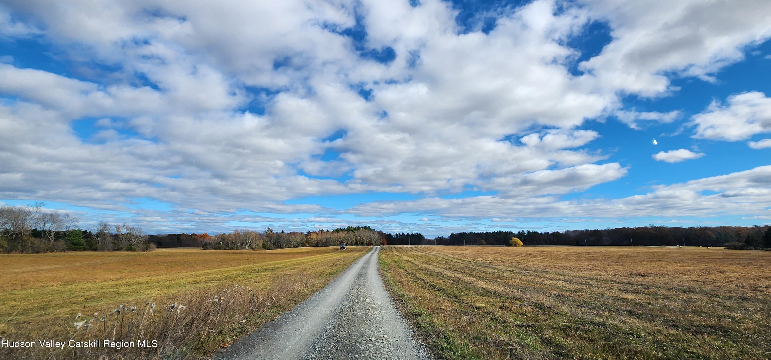 100 Greymouse Road Road