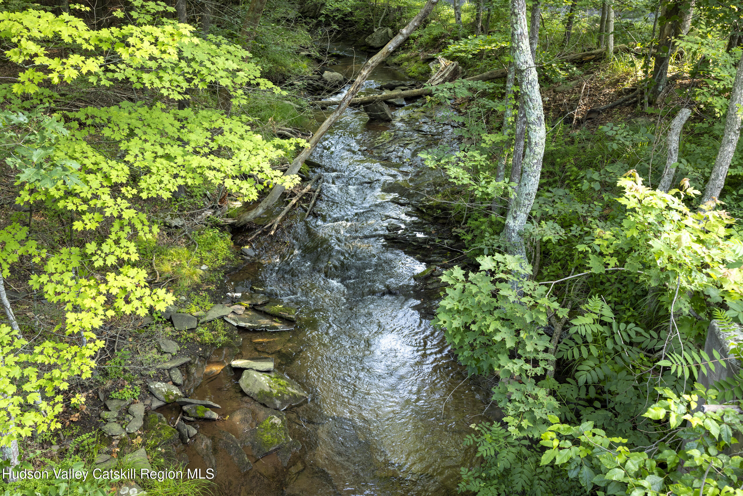 1807 Glasco Turnpike