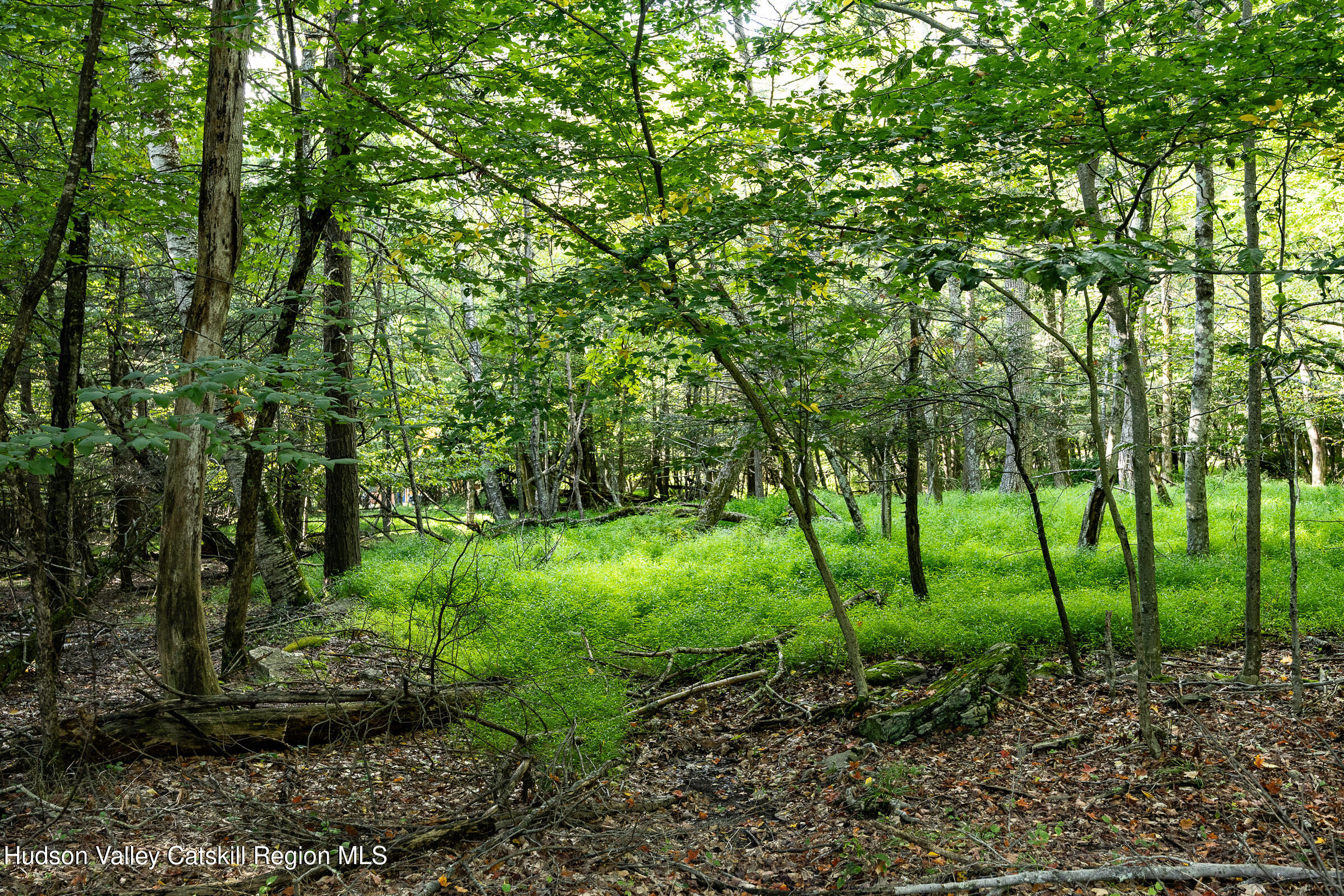 Lot 6 Mount Guardian Road