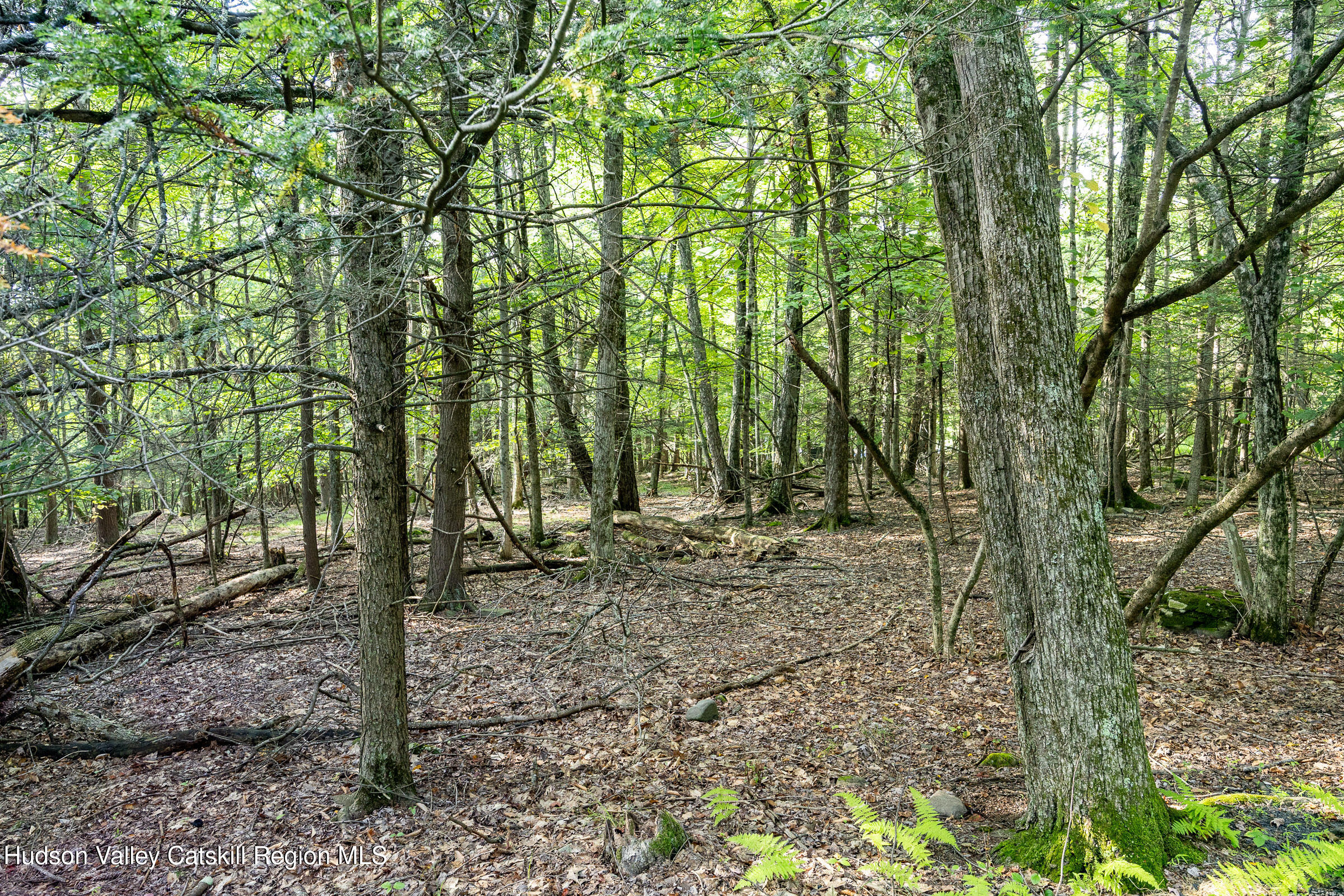 Lot 6 Mount Guardian Road