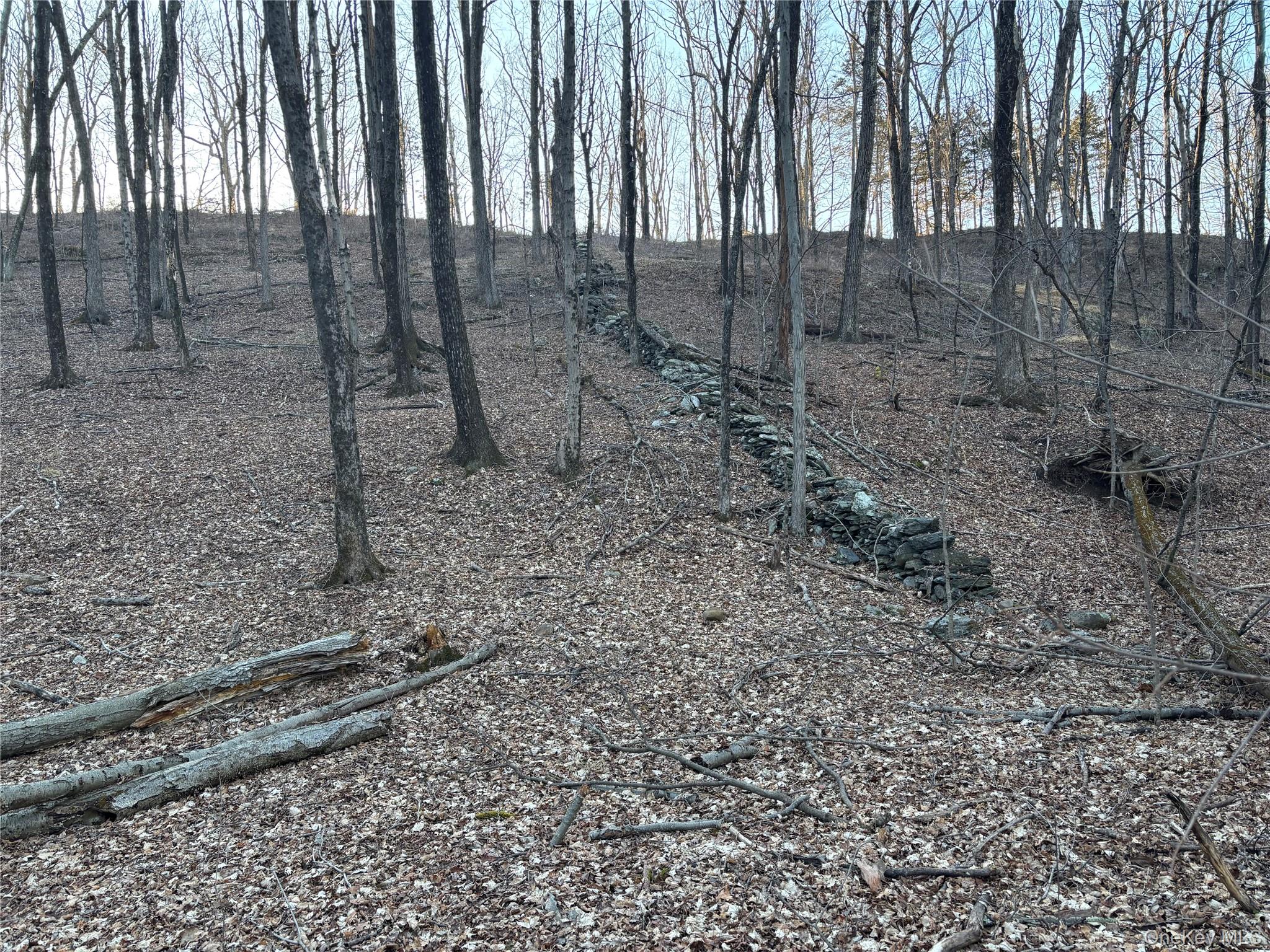 Barkit Kennel Rd