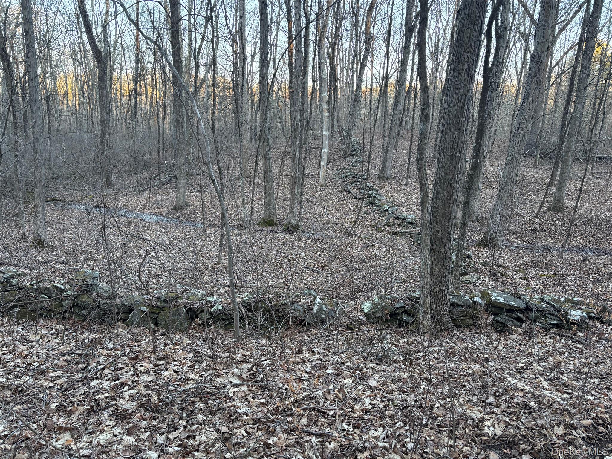 Barkit Kennel Rd