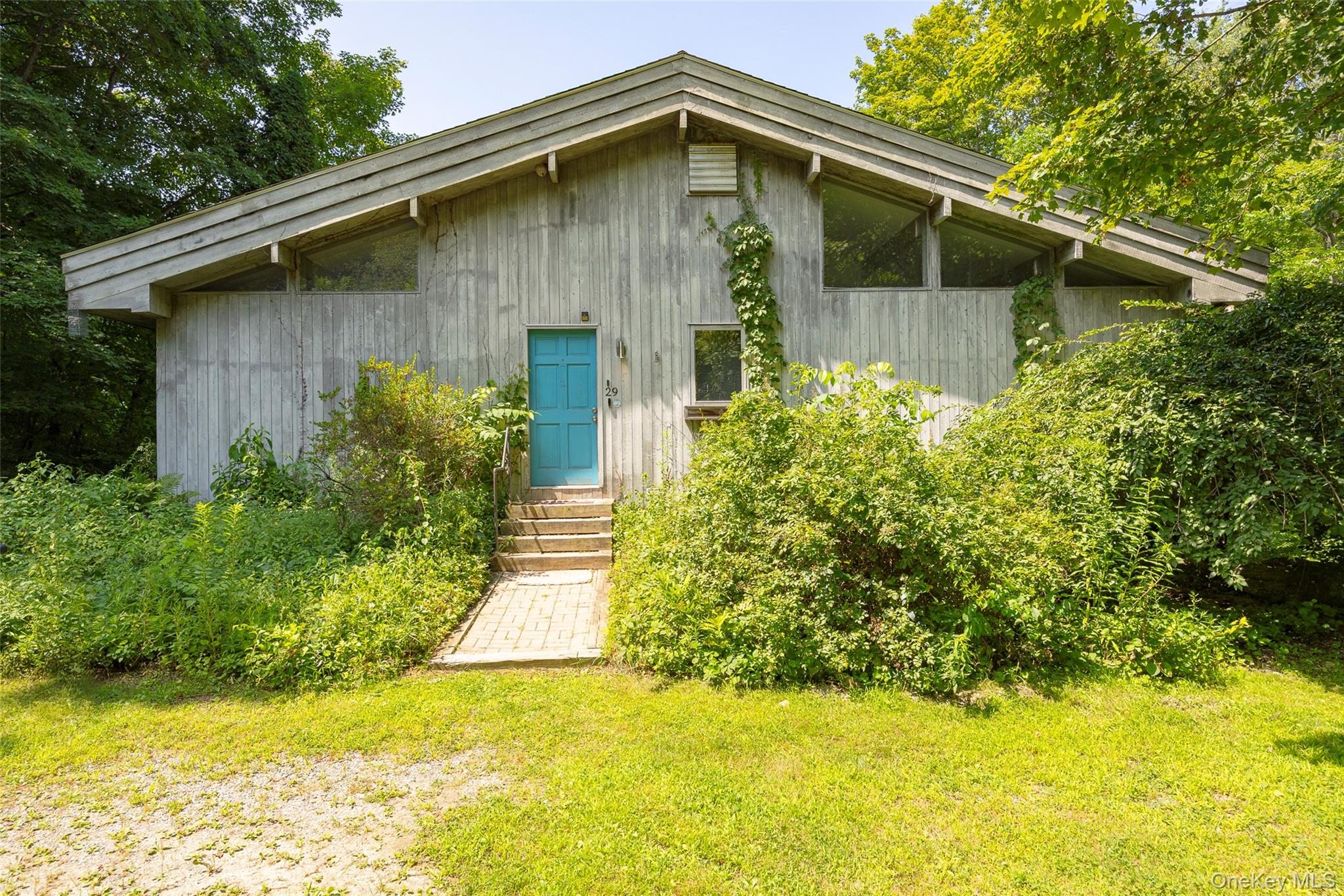 31 Blueberry Lane