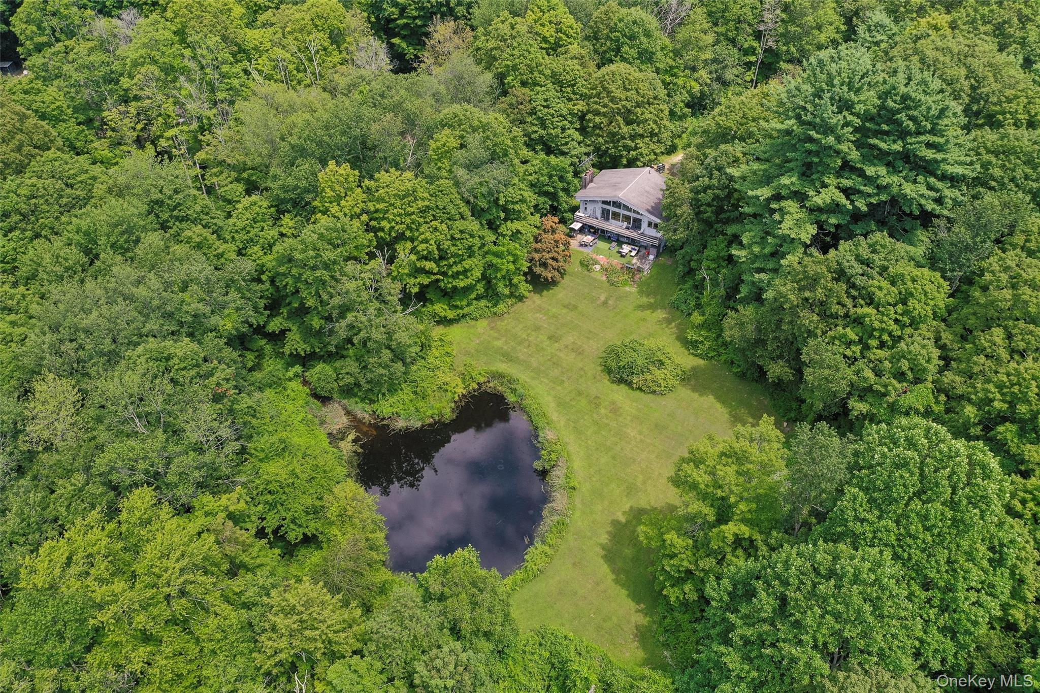 31 Blueberry Lane