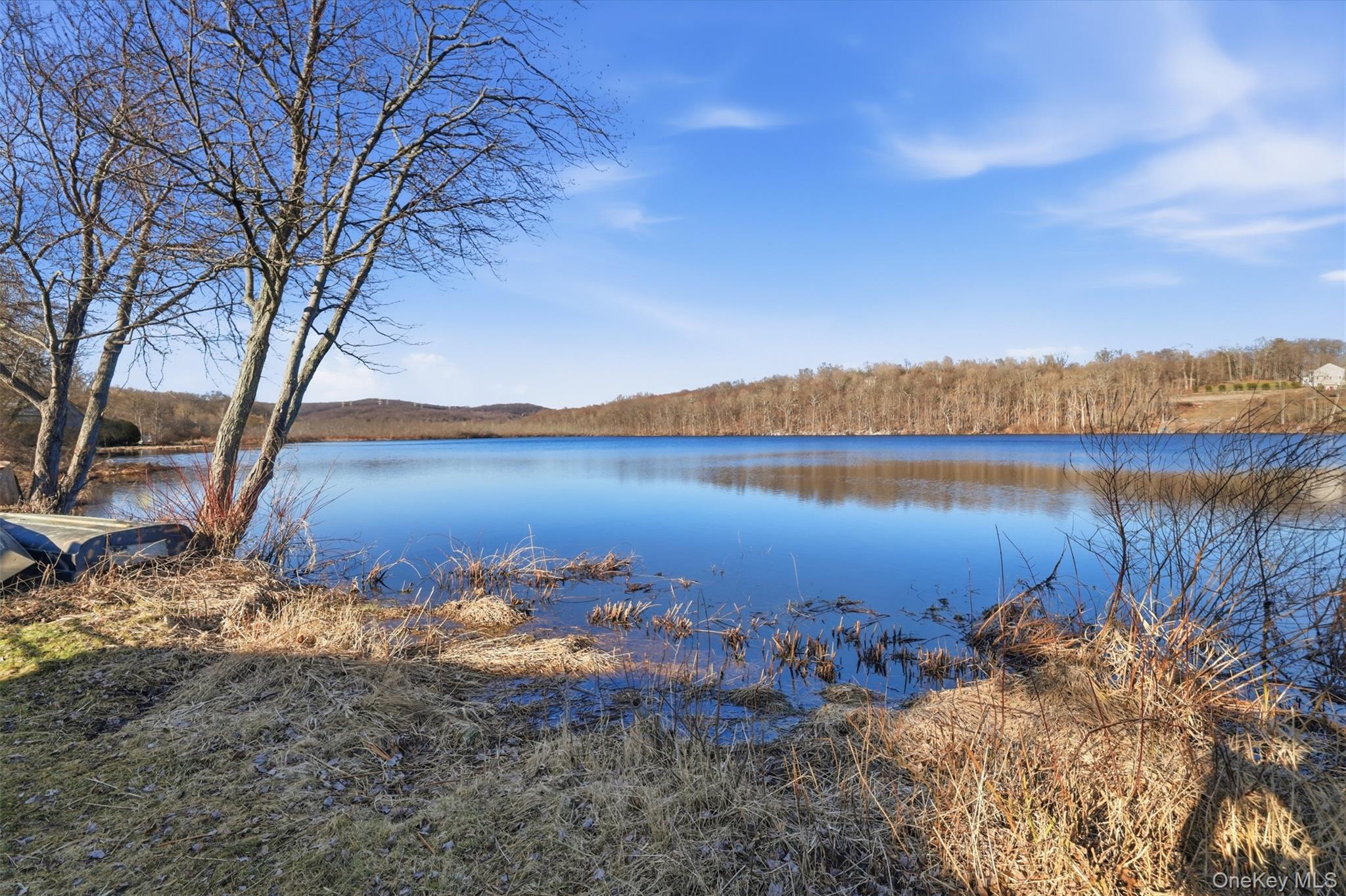 203 Lake Shore Drive