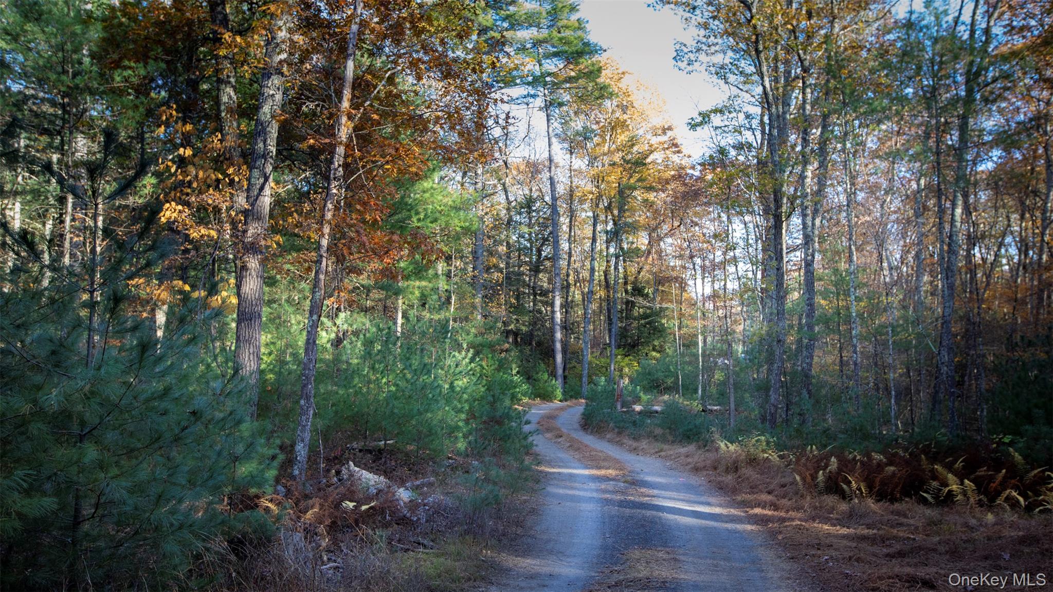 TBD Mulberry Lane