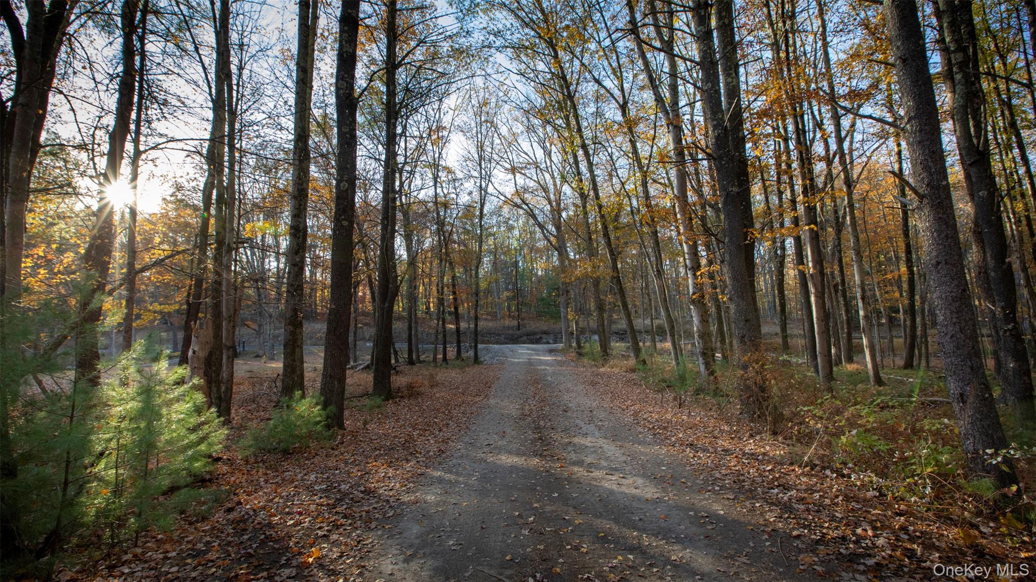 TBD Mulberry Lane