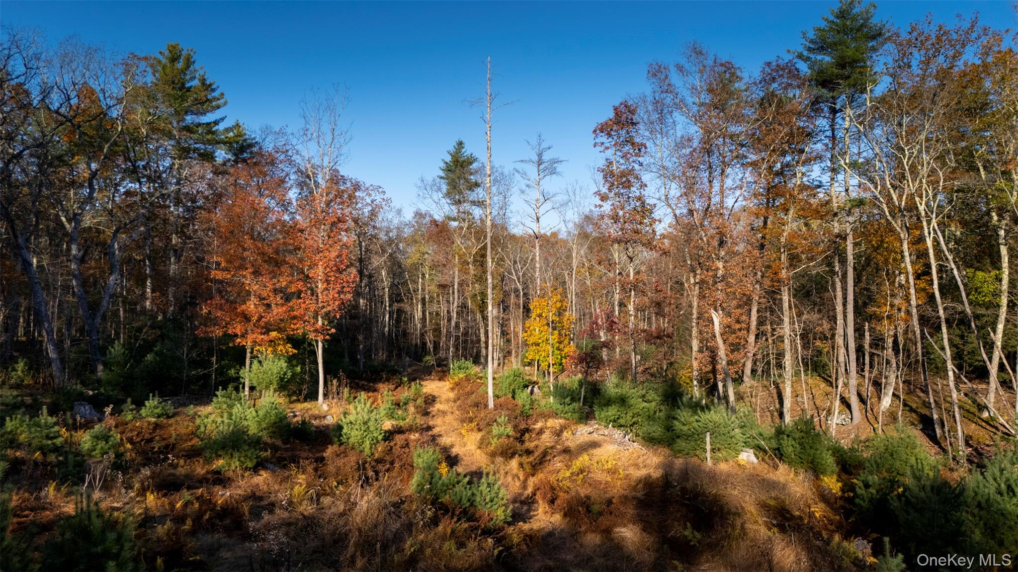 TBD Mulberry Lane