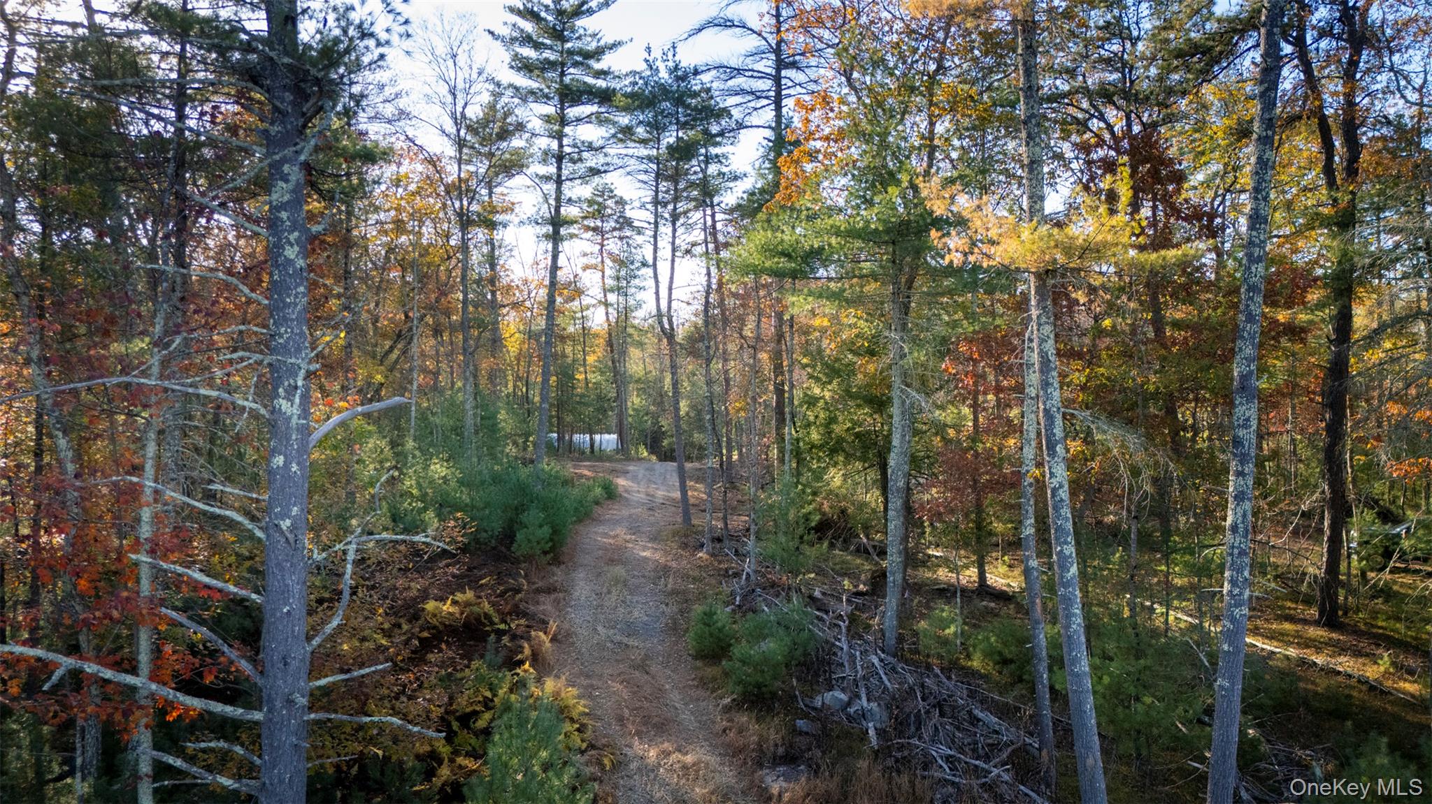 TBD Mulberry Lane