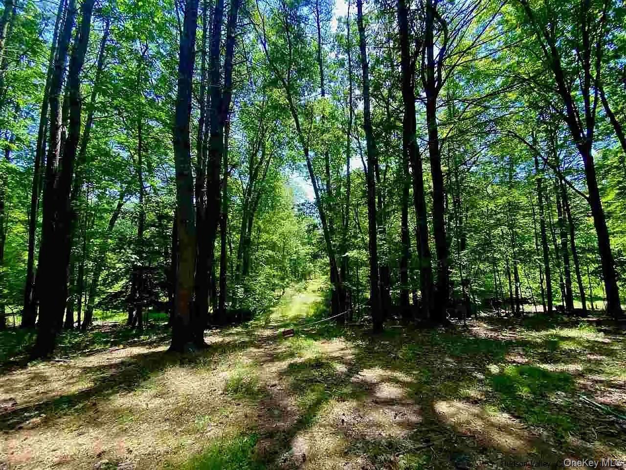 TBD Mulberry Lane