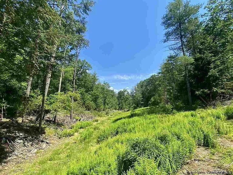 TBD Mulberry Lane