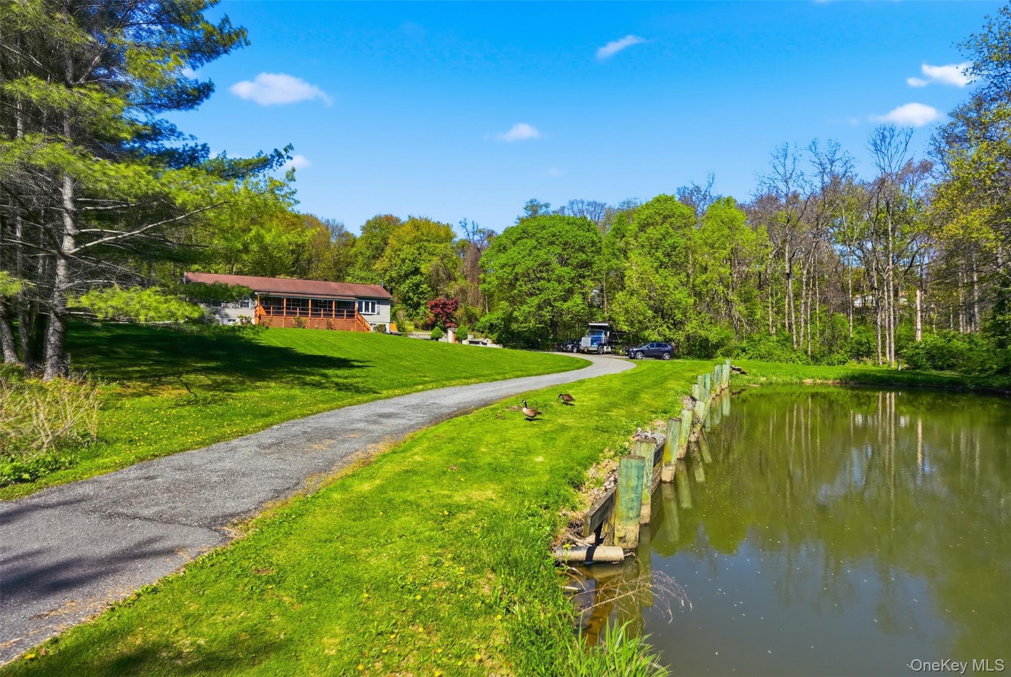 299 Diddell Road