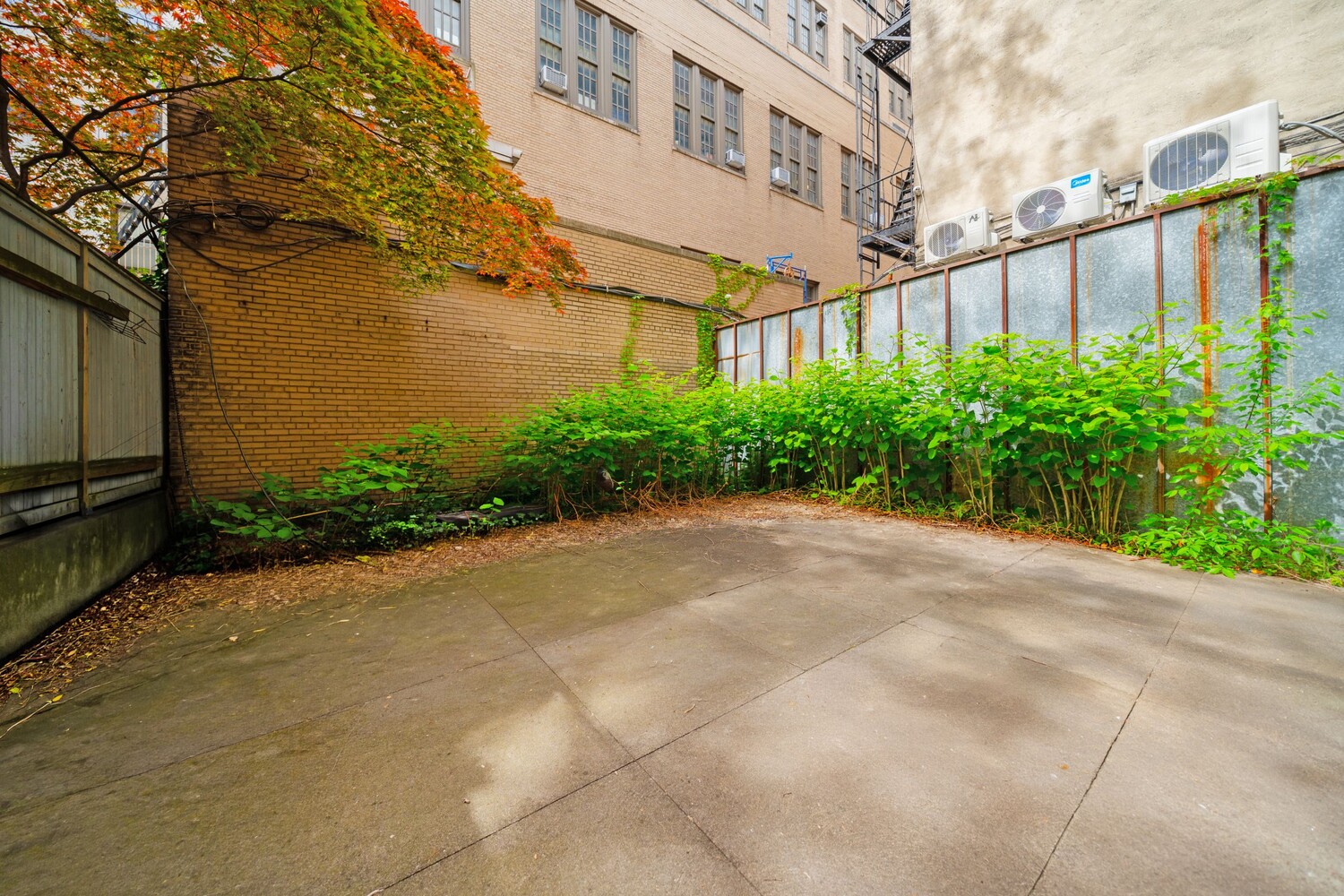 336 W 19TH Street 1