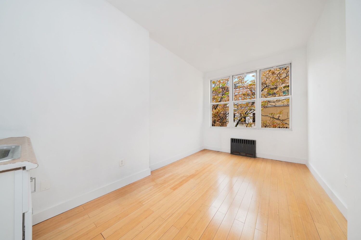 336 W 19TH Street 1