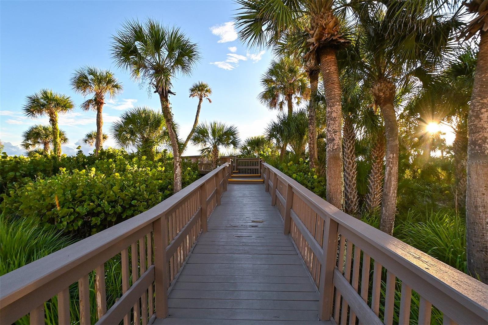 565 SANCTUARY DR #A203