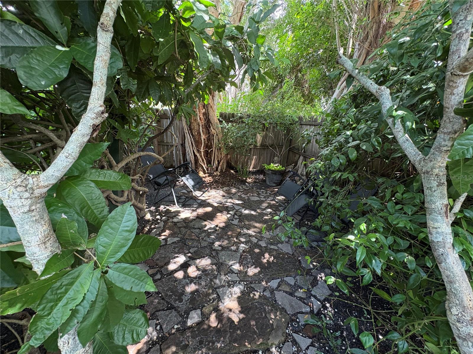 2303 BOUGAINVILLEA ST