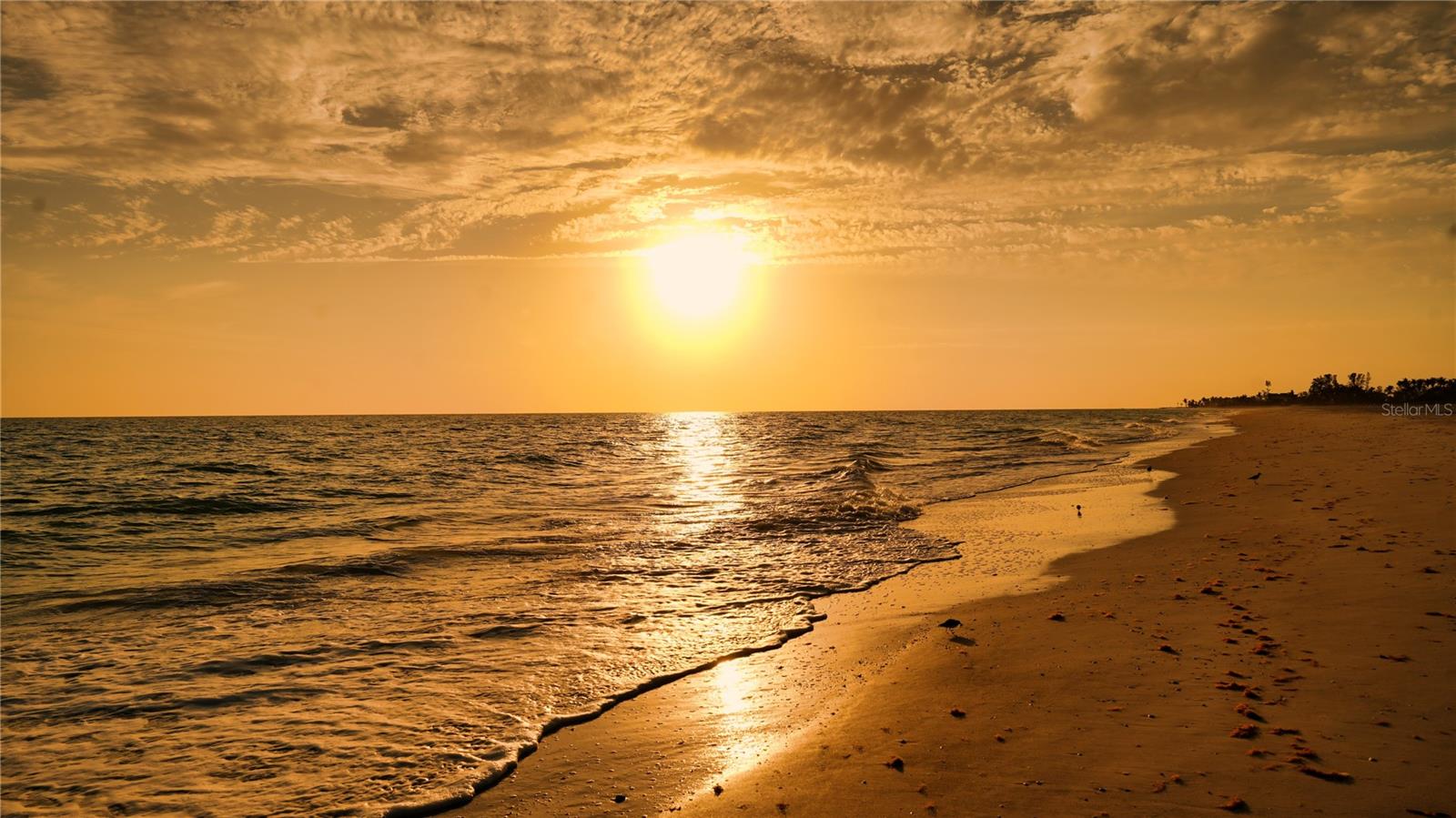 6001 GULF OF MEXICO DR