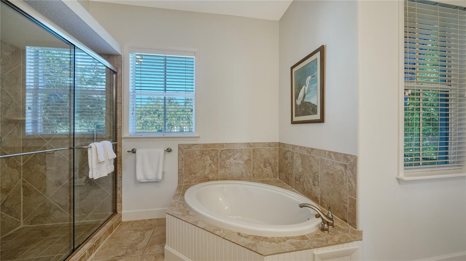 3930 ELYSIAN WOODS LN