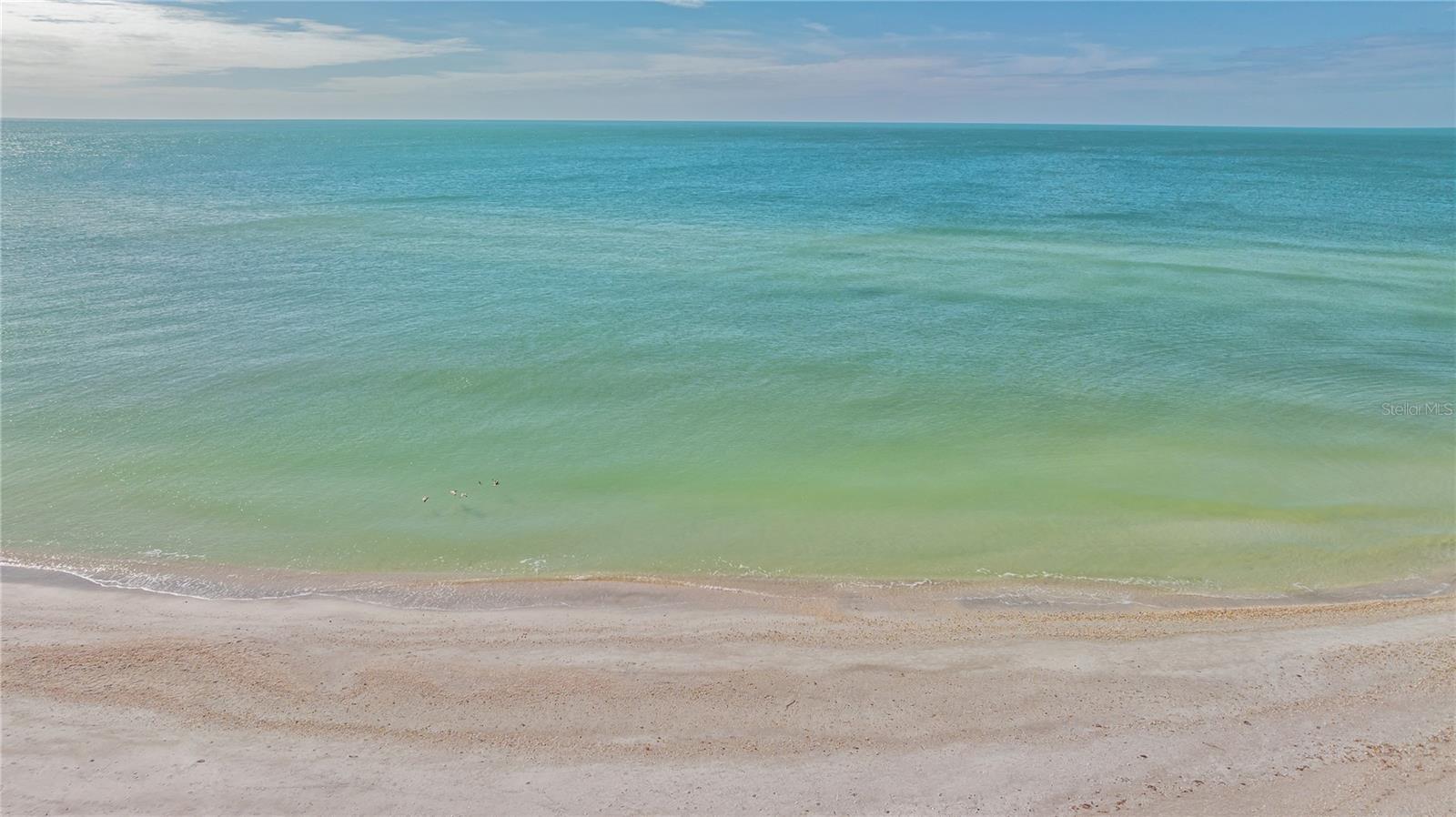 2050 BENJAMIN FRANKLIN DR #B704