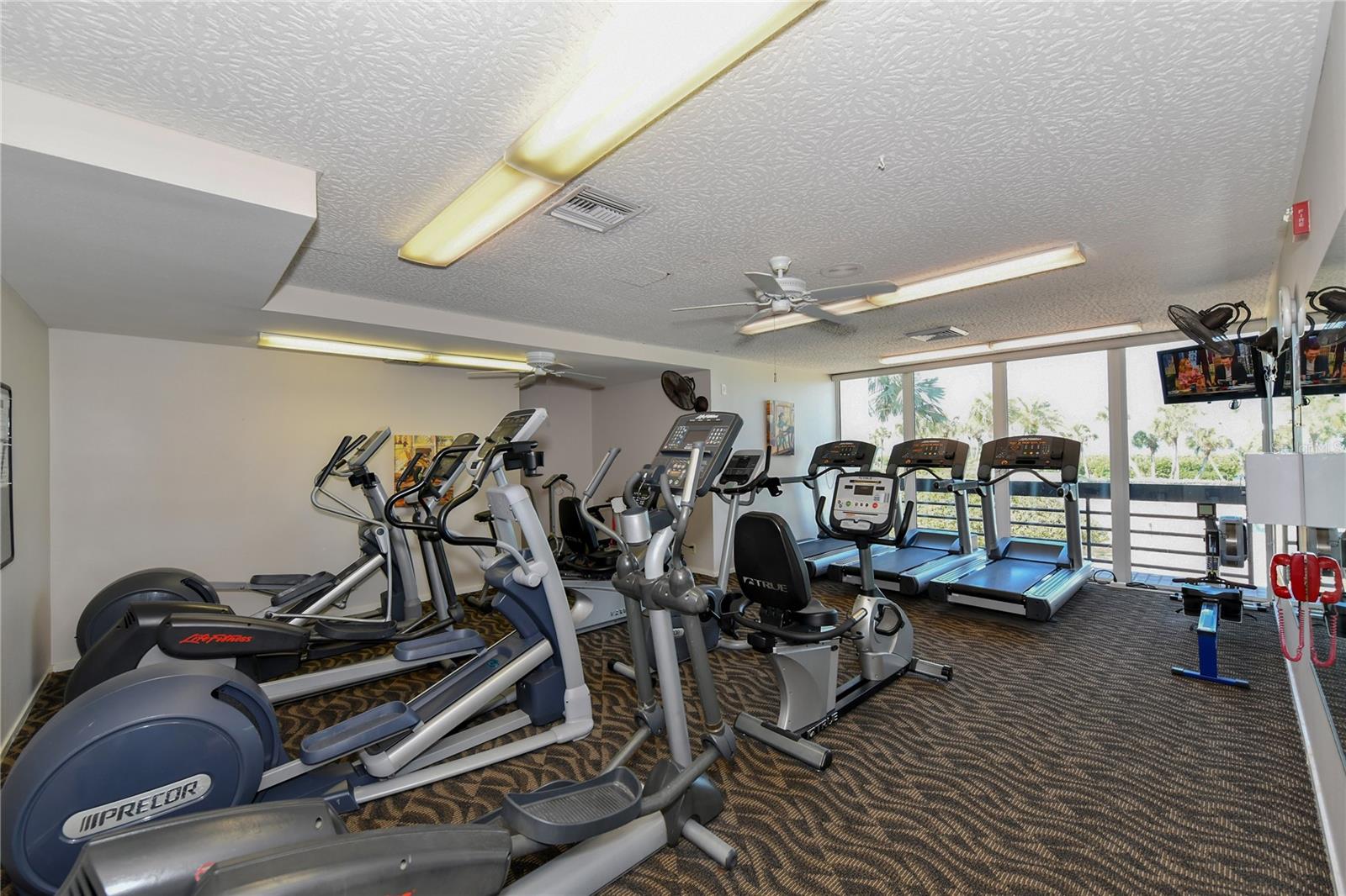 1125 GULF OF MEXICO DR #101