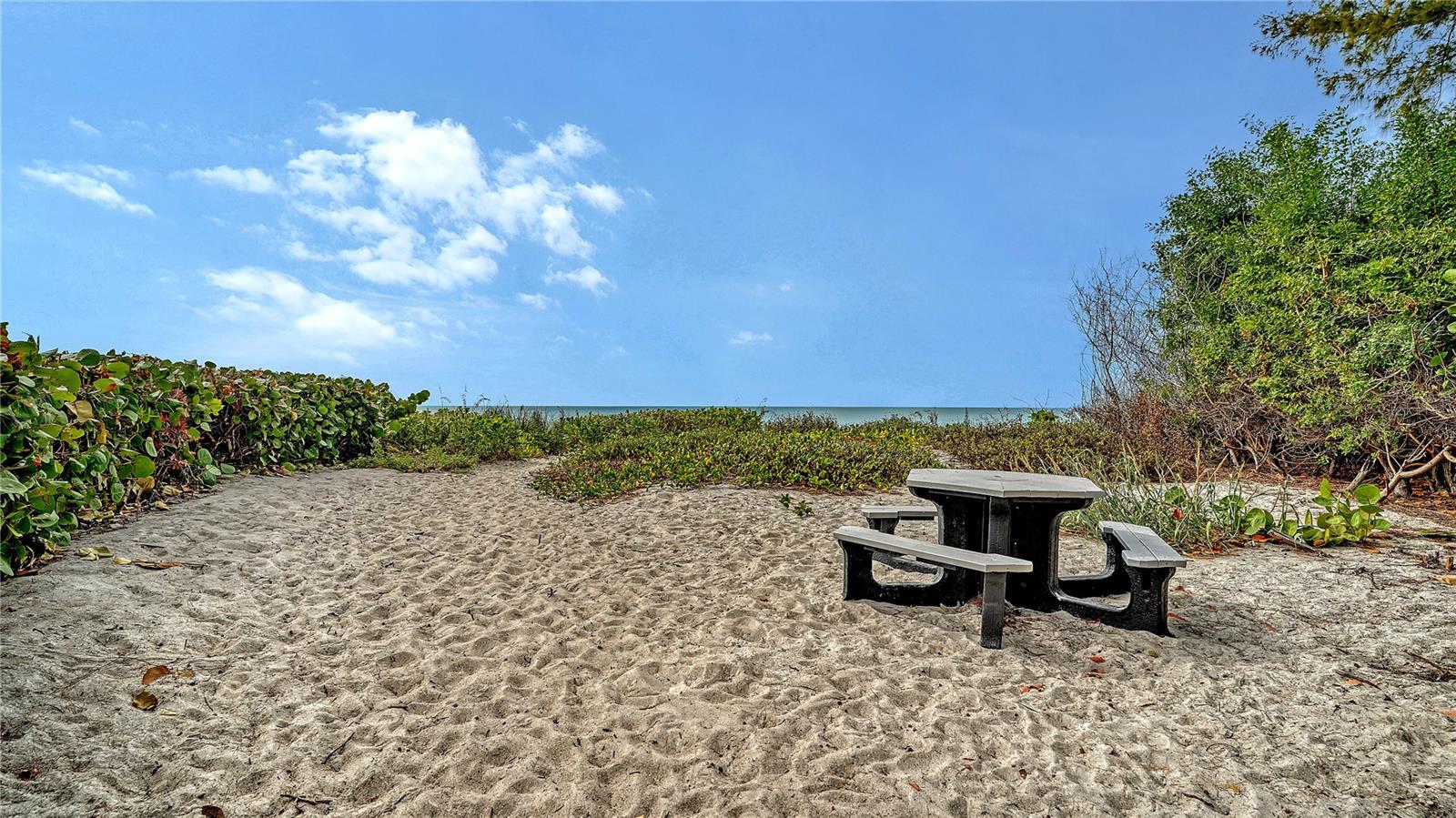 5311 GULF OF MEXICO DR #3