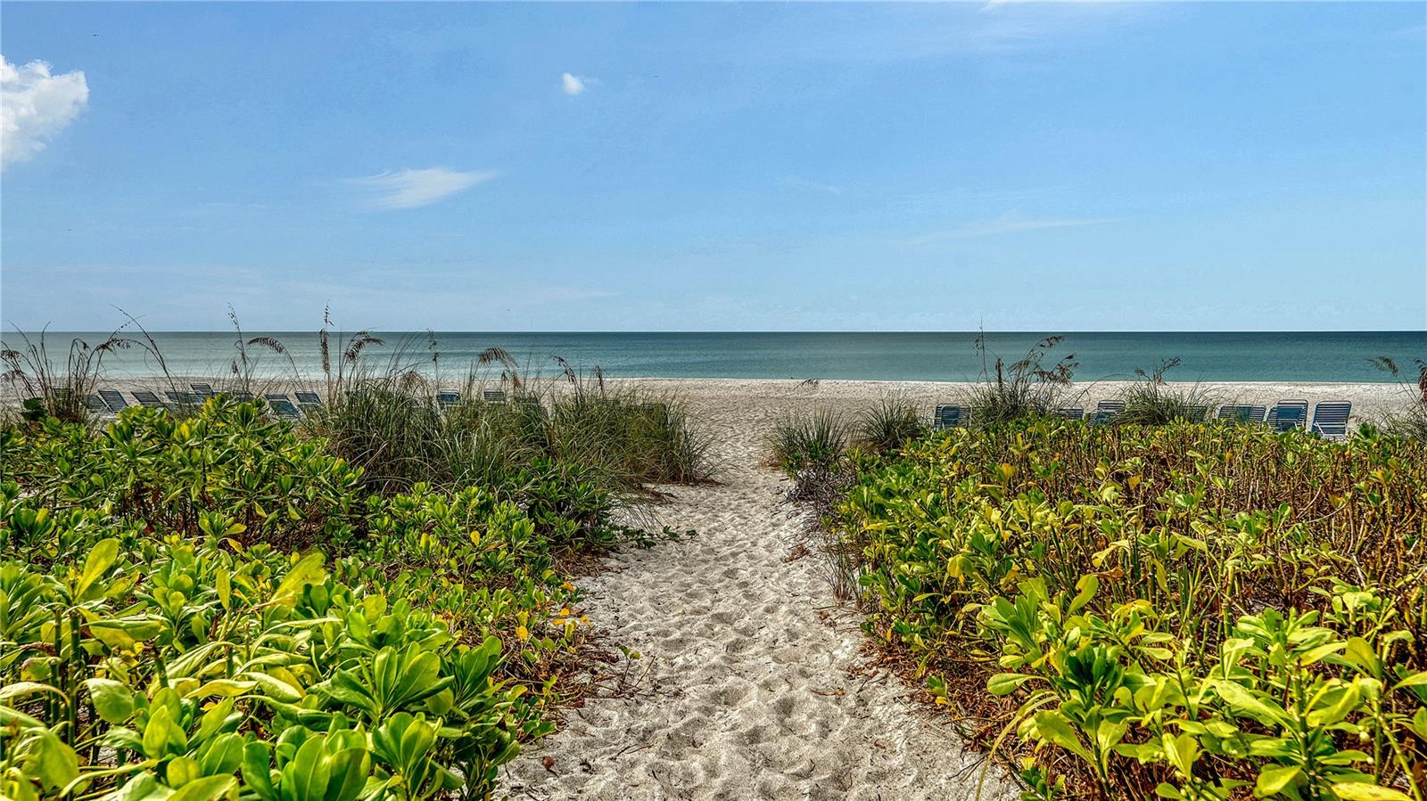 5311 GULF OF MEXICO DR #3