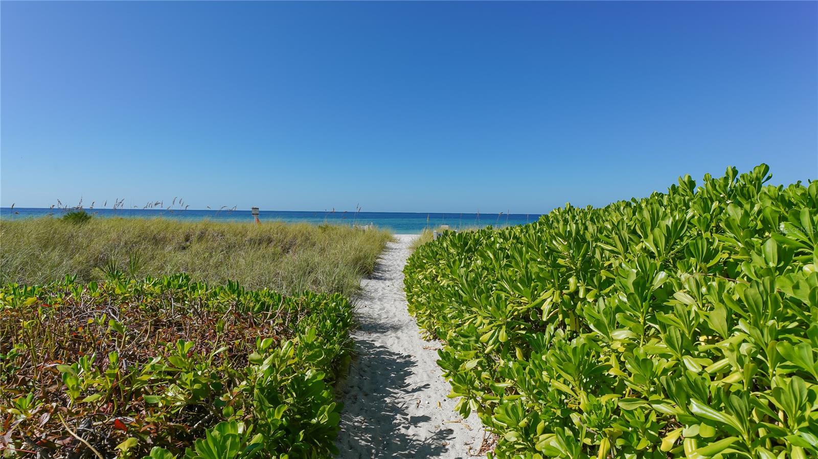 5311 GULF OF MEXICO DR #3