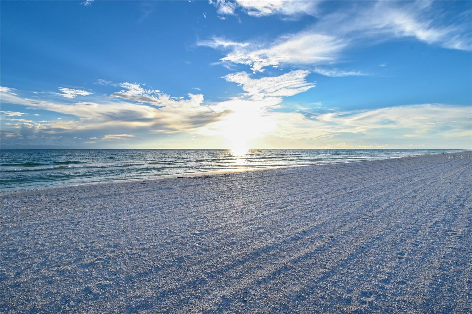 585 SANCTUARY DR #B502