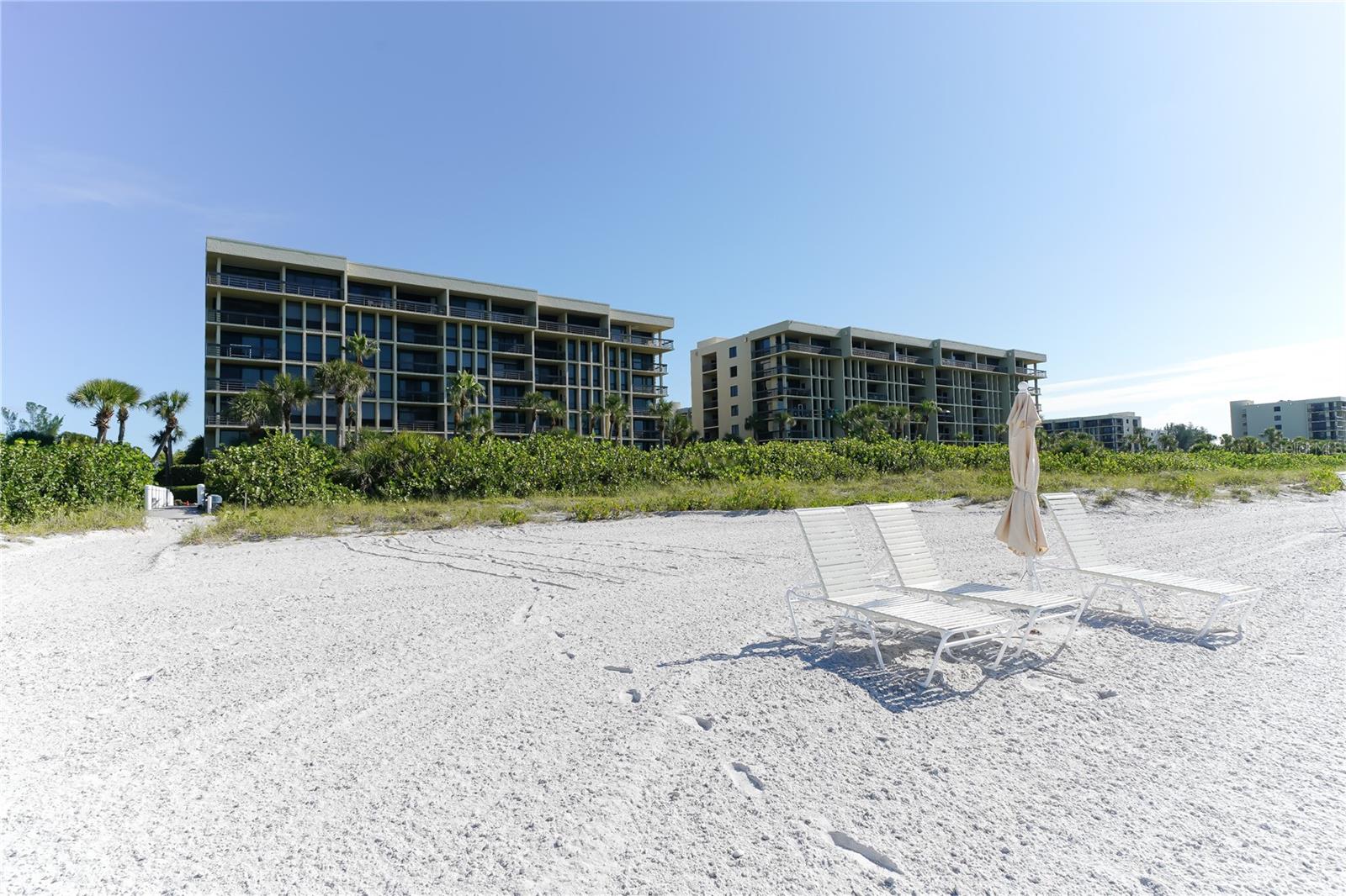 1145 GULF OF MEXICO DR #503