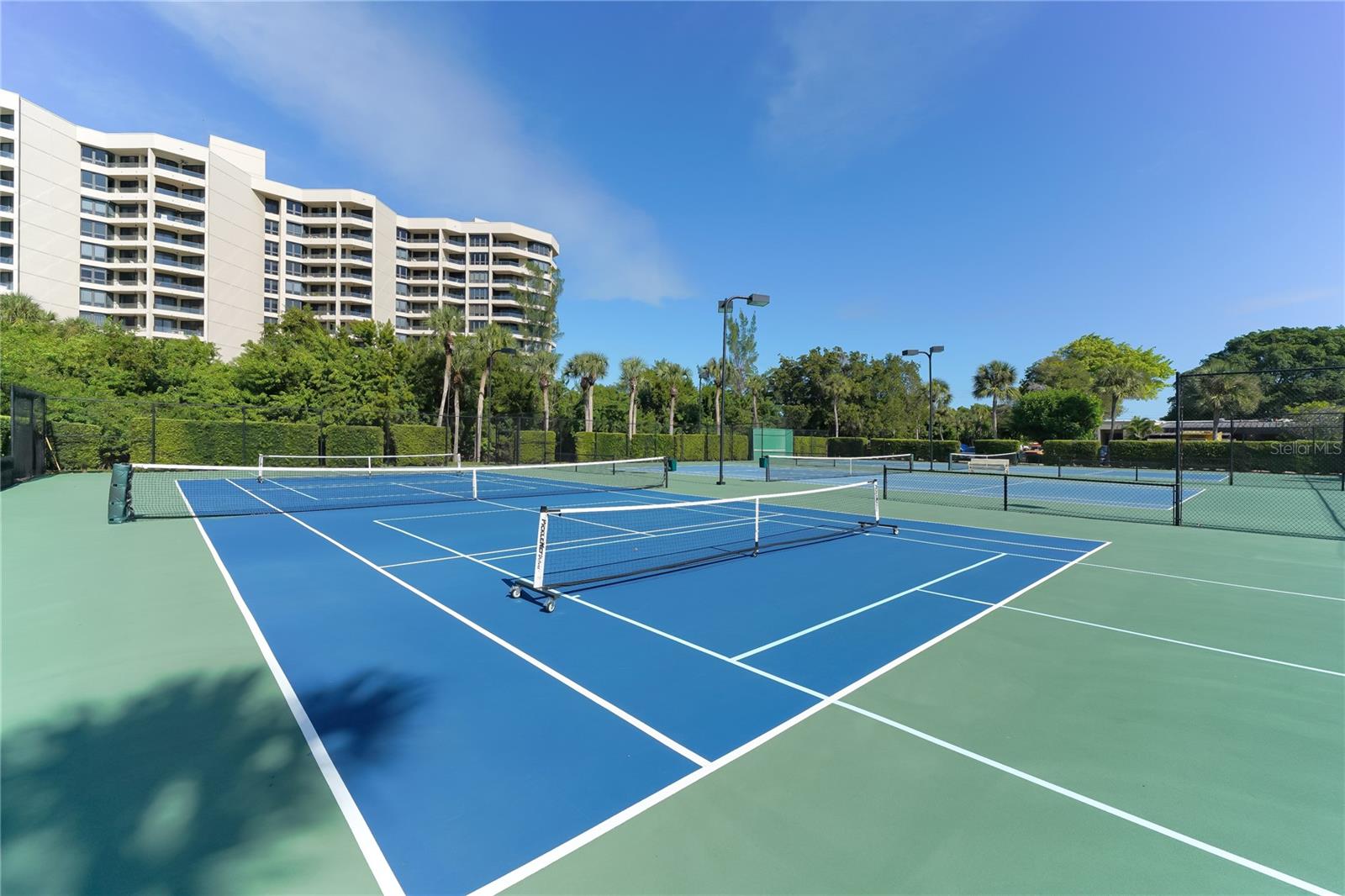 1145 GULF OF MEXICO DR #503