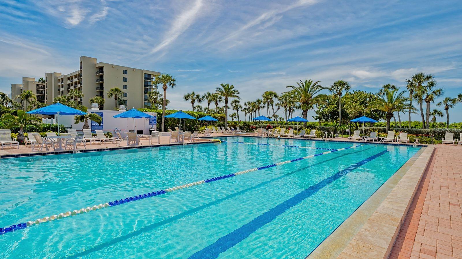 1145 GULF OF MEXICO DR #503