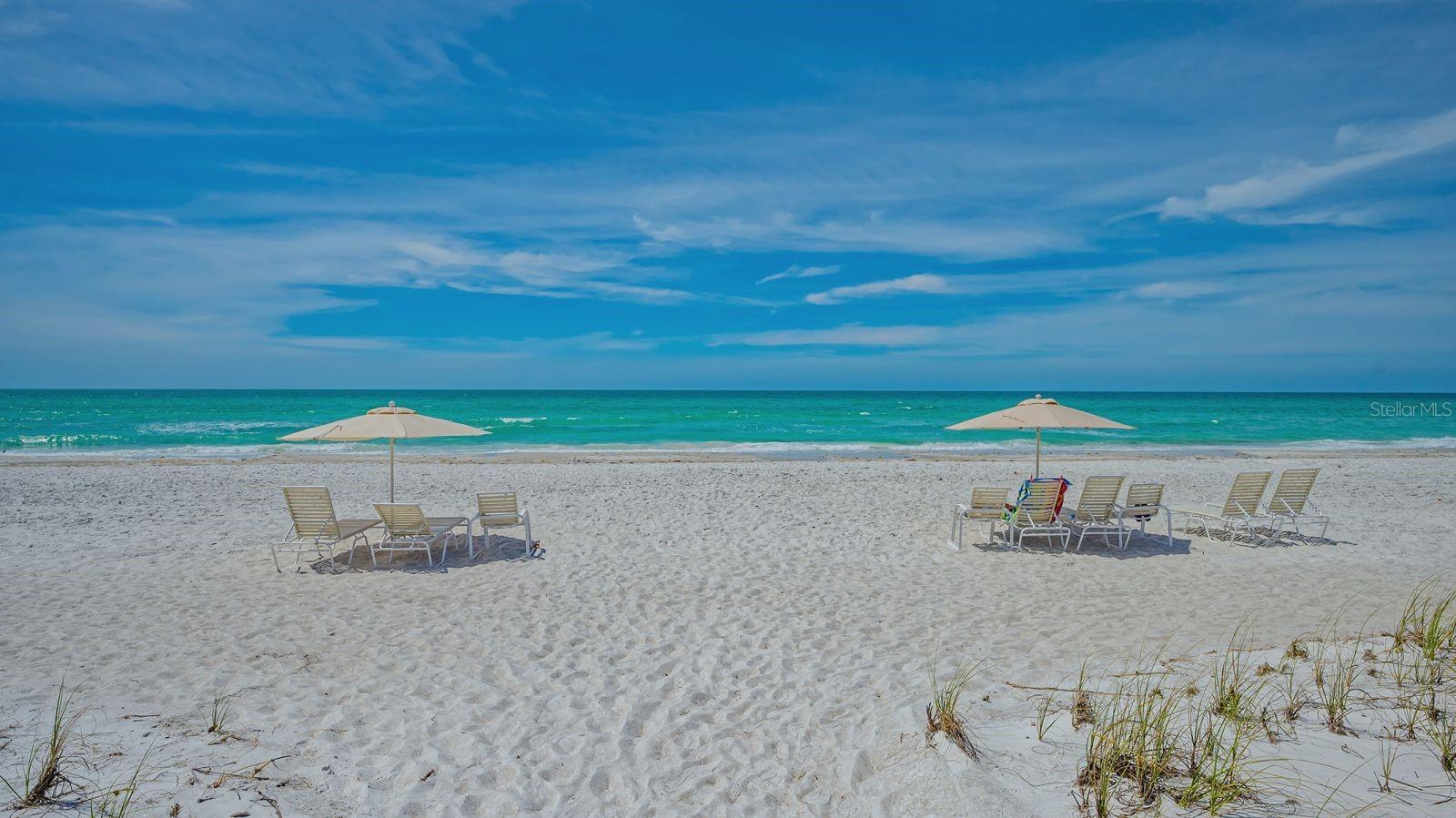 1145 GULF OF MEXICO DR #503