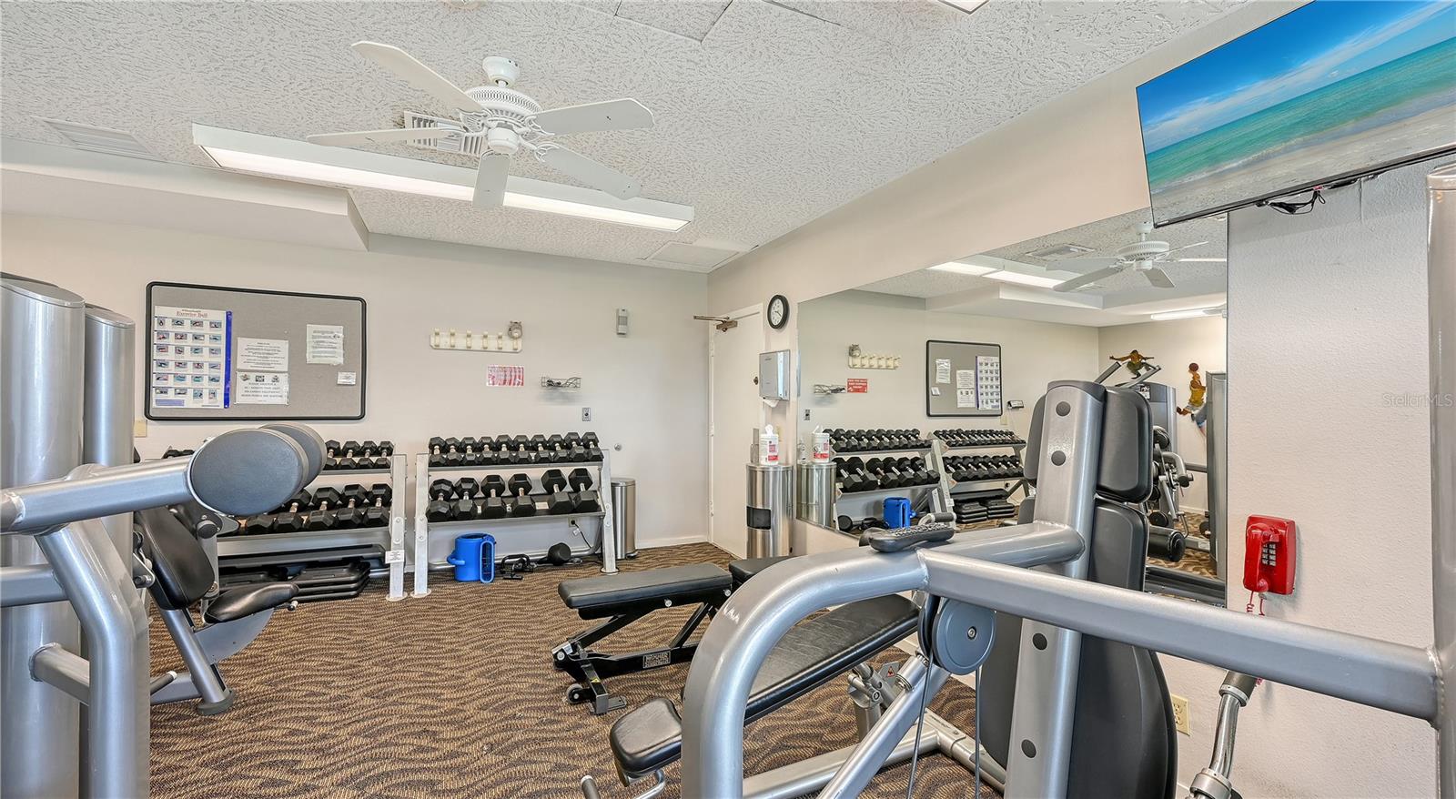 1145 GULF OF MEXICO DR #503