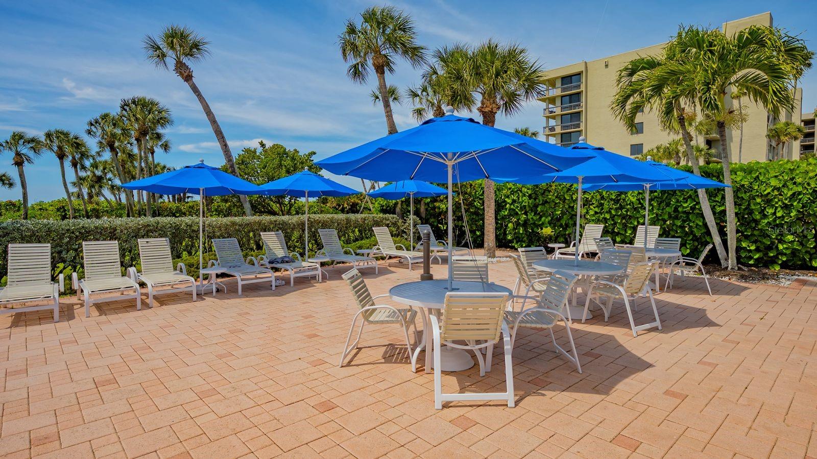 1145 GULF OF MEXICO DR #503