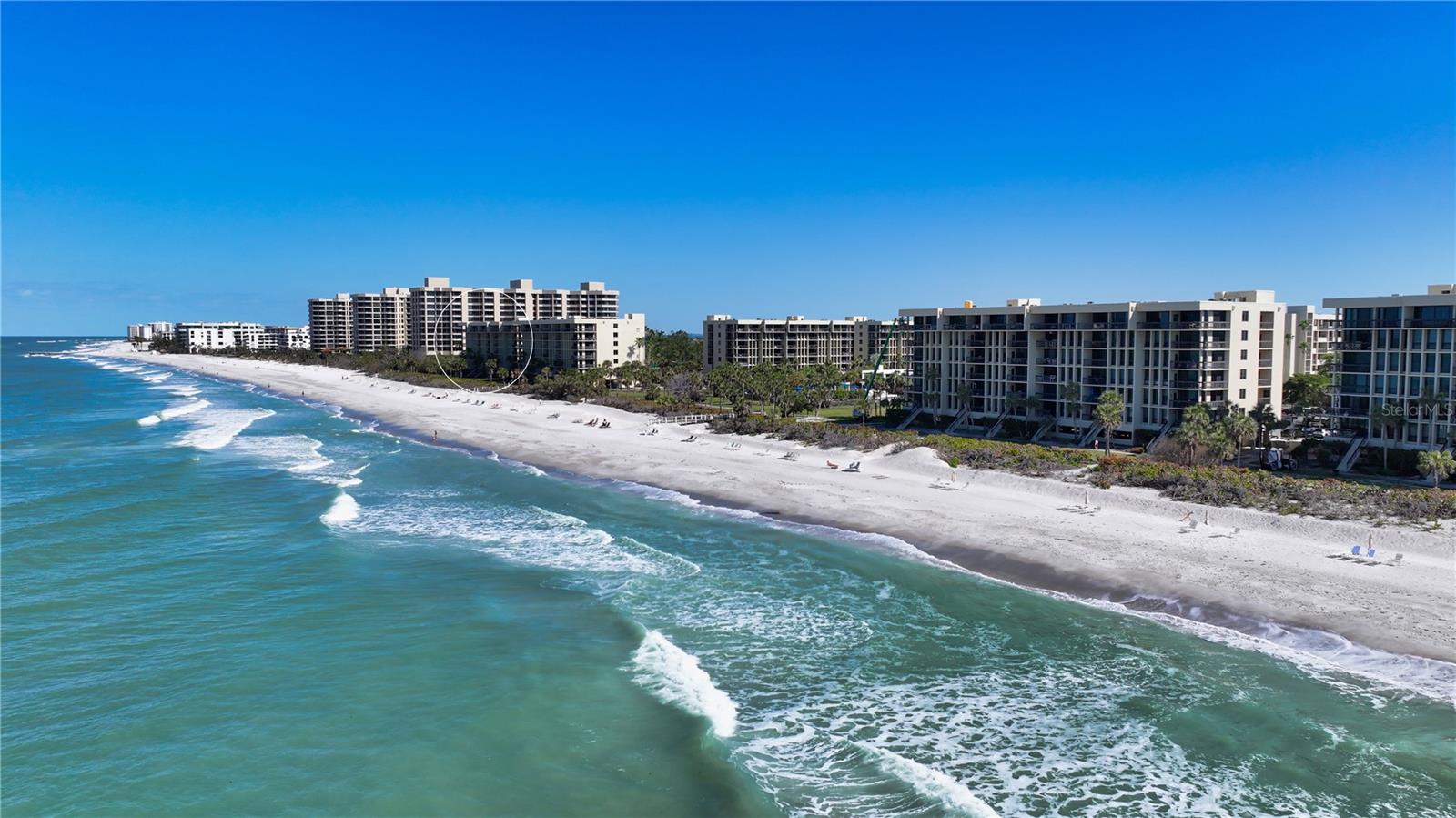 1145 GULF OF MEXICO DR #503
